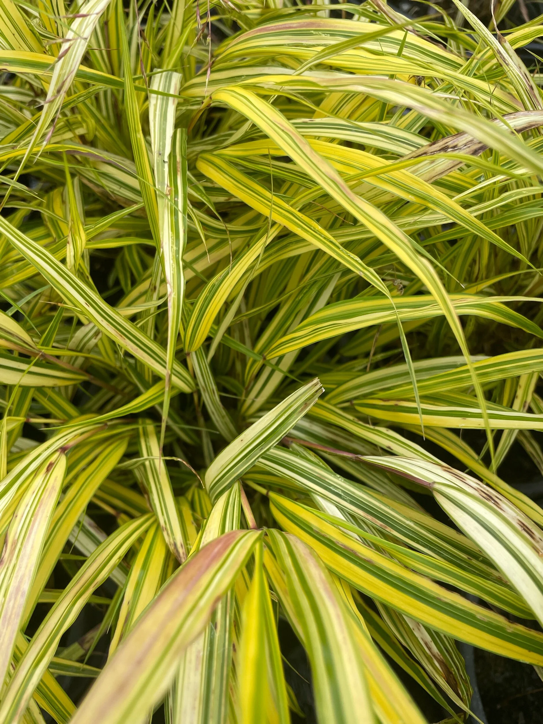 6586D05E-4B7E-48BE-9967-53EFFBF5B22C