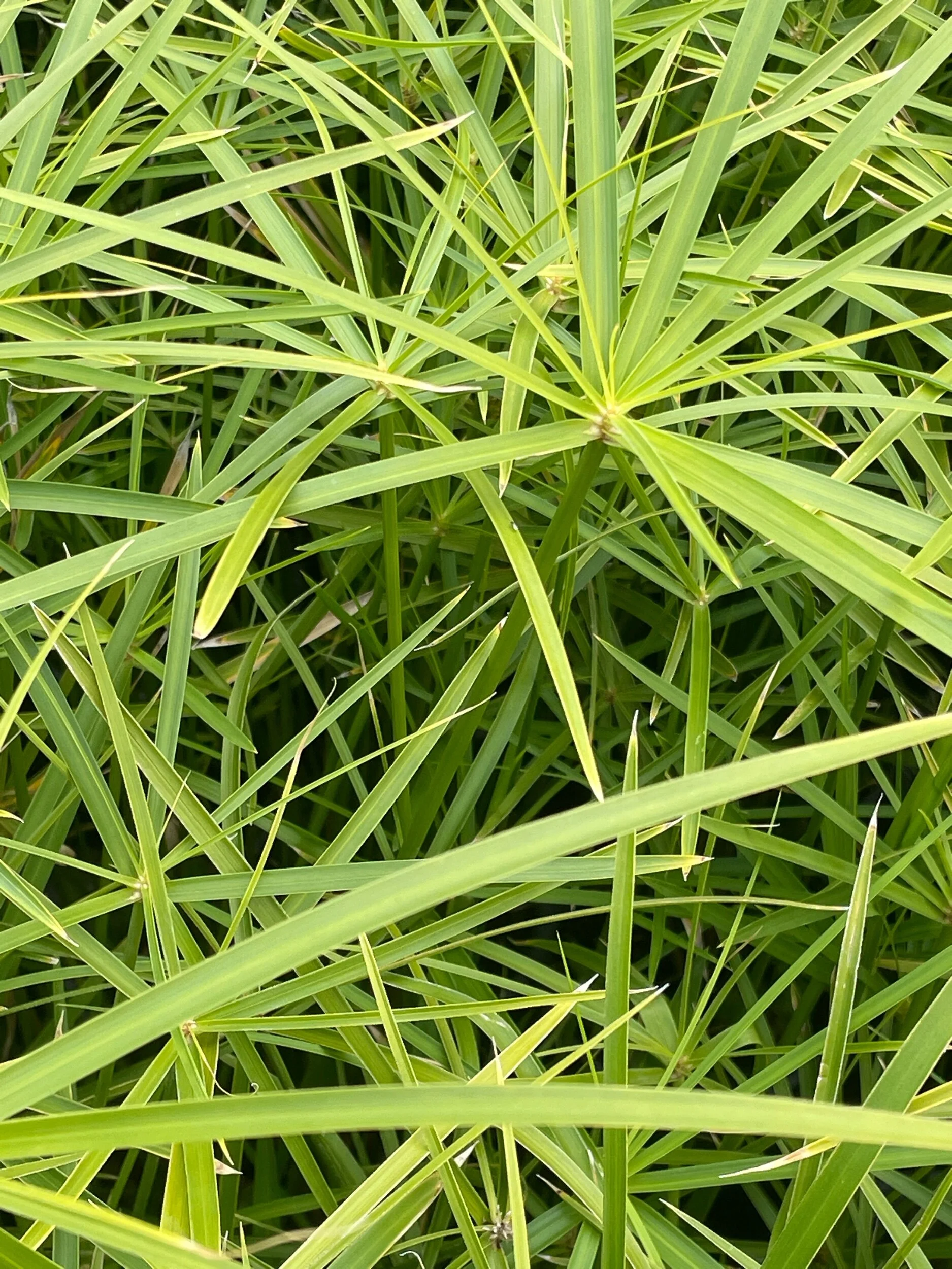 6F29D49A-CD1A-4D1D-9365-11CE9F89FF32