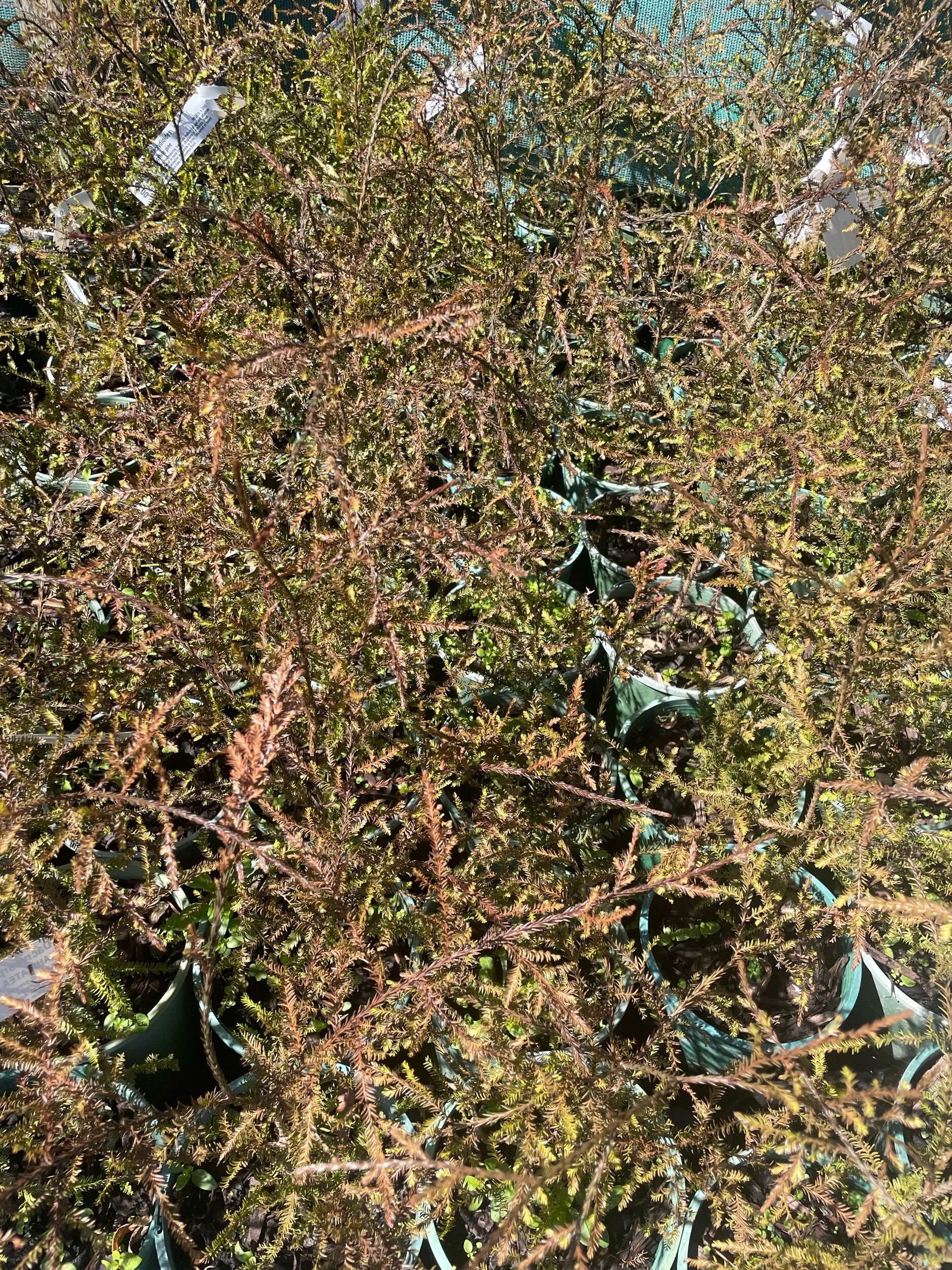 33016865-C521-4D5B-B7B6-C859F68CE7F5