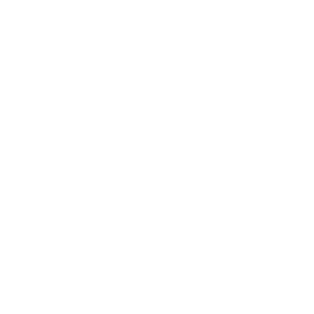 Inshpip_White Logo.png