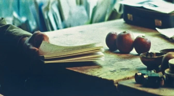 Bryan Gee at the W.G. Sebald conference in Amsterdam