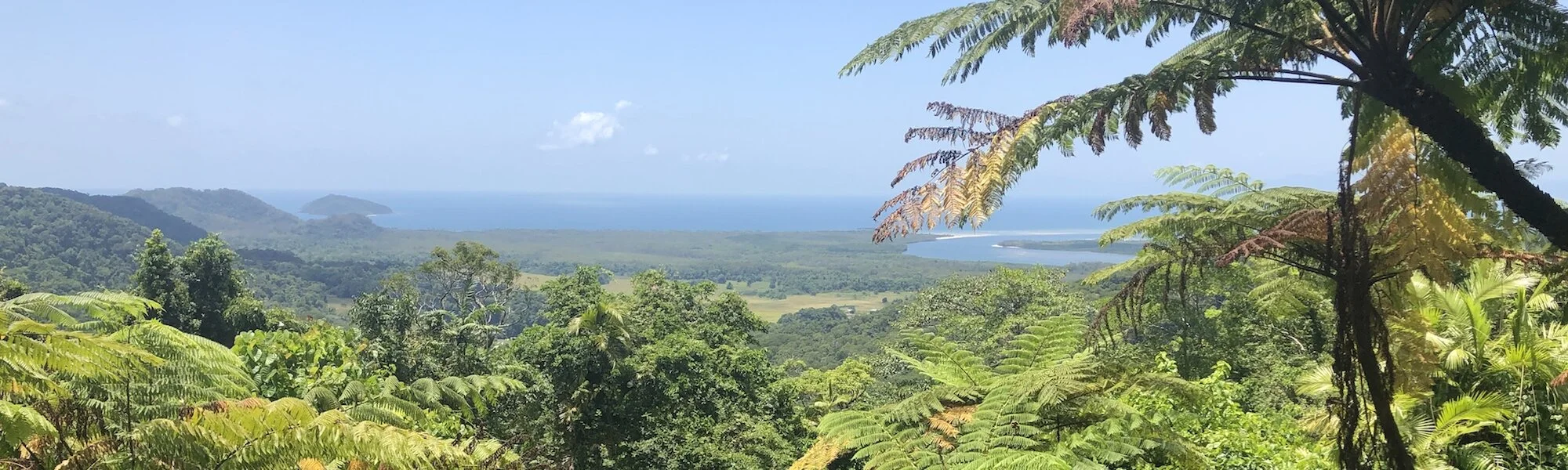 Daintree Nov 2019-37.jpg