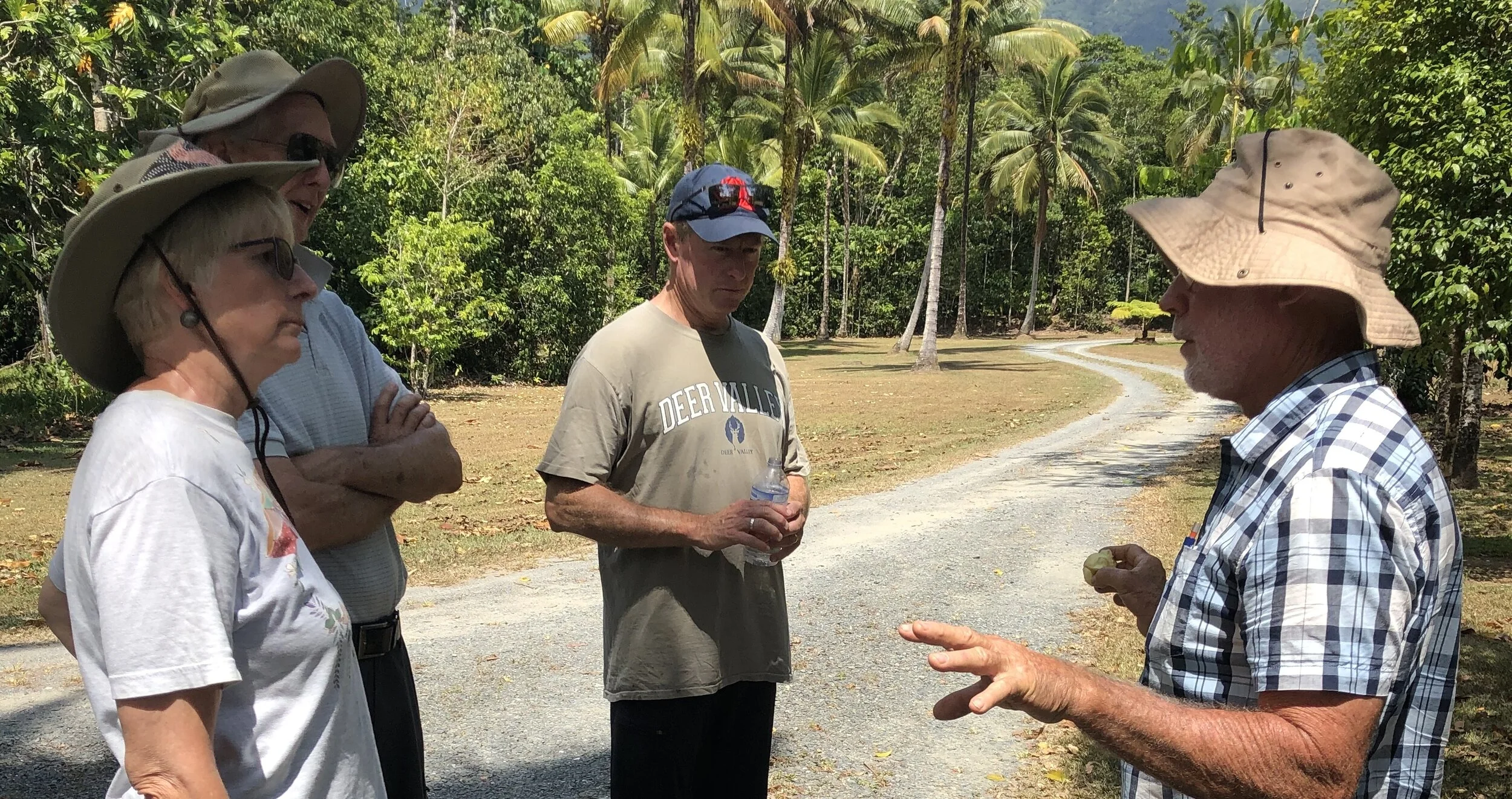 Daintree Nov 2019-04.jpg