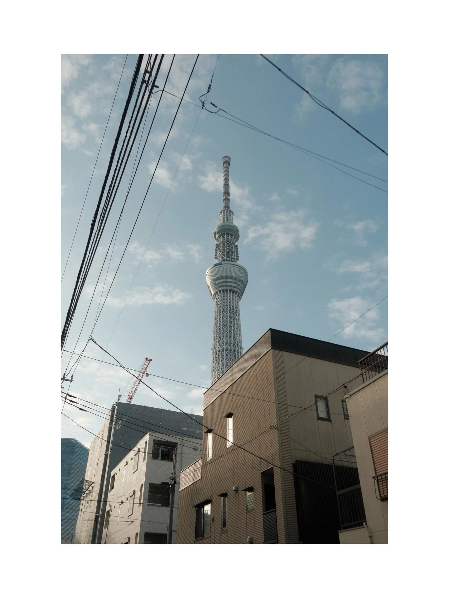 Tokyo through a lens. 

A couple of recent days in the metropolis that perpetually delivers an all-you-can-eat buffet for the eyes.