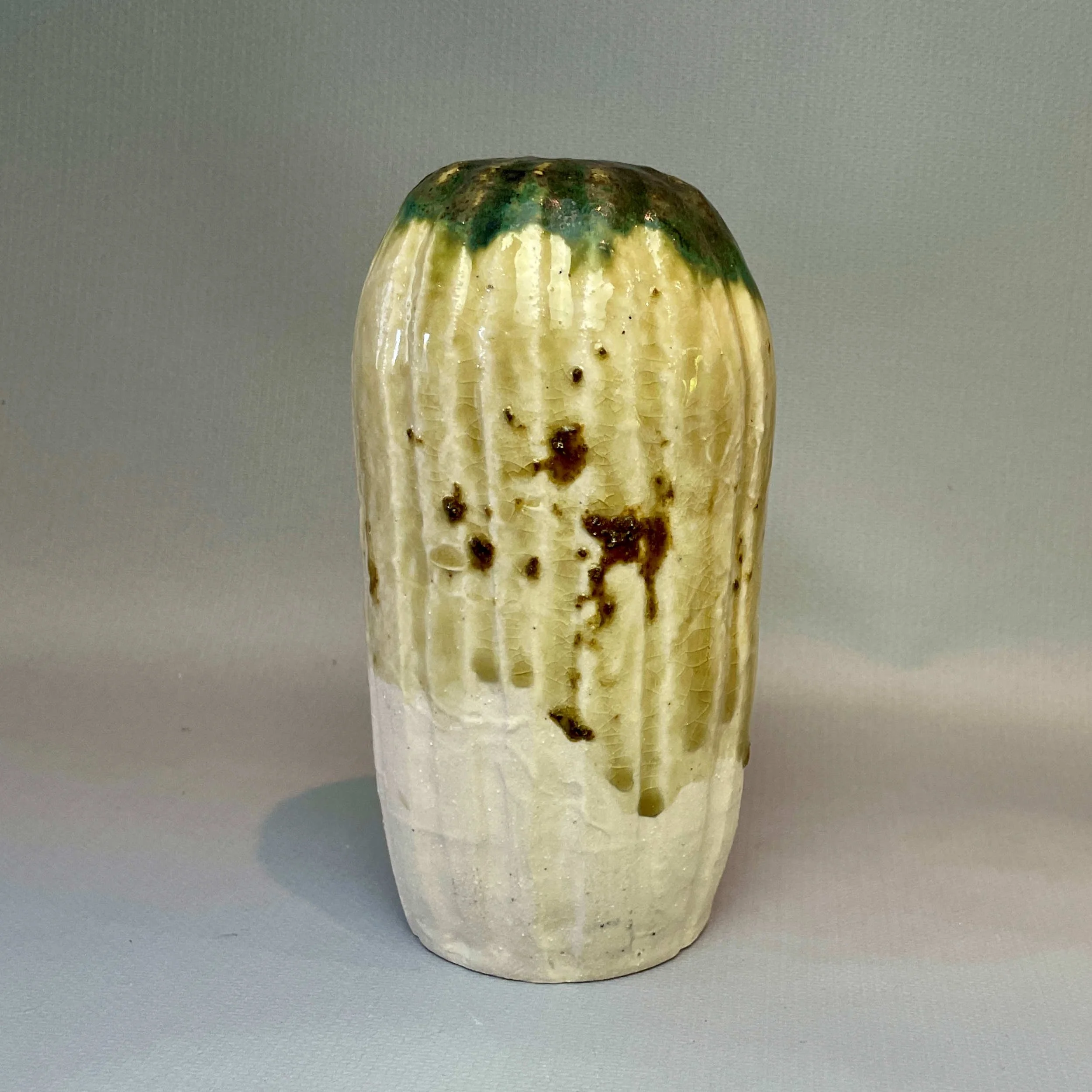 Cactus Shaped Pot
