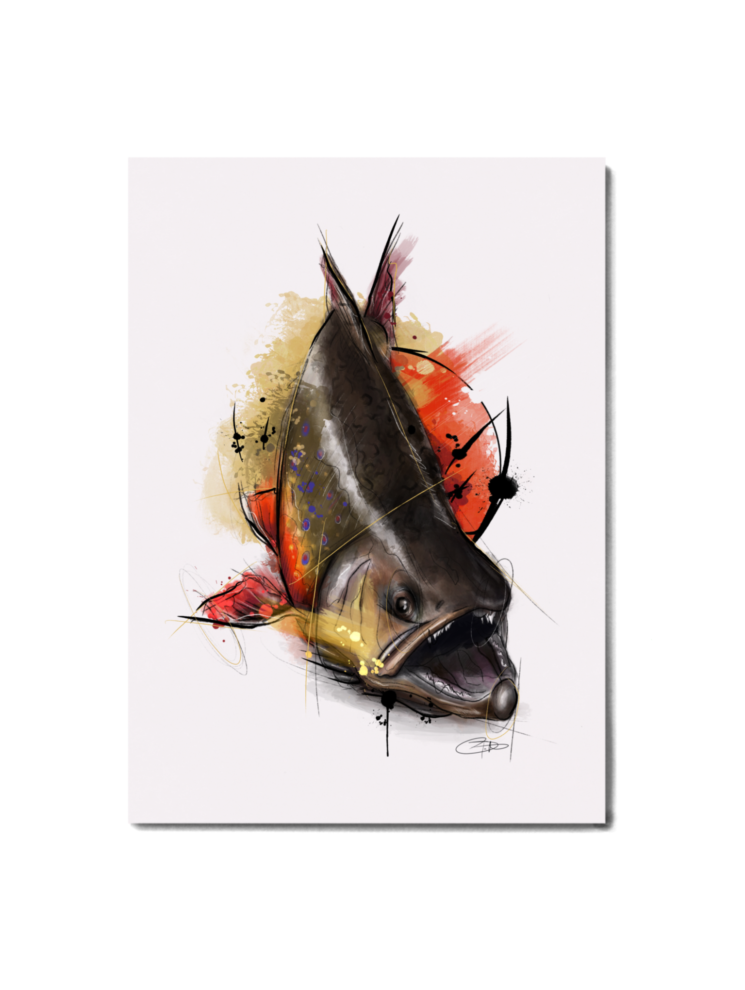 Big Hole Series - Brook Trout Print