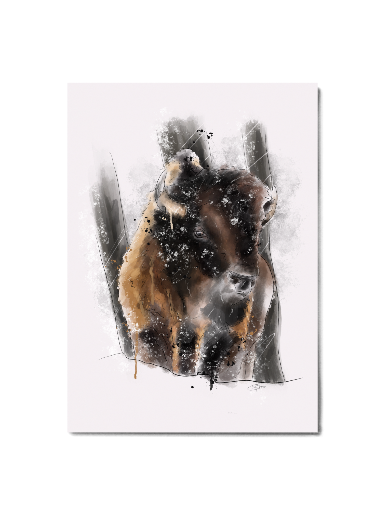 Big Game Series - Bison Print