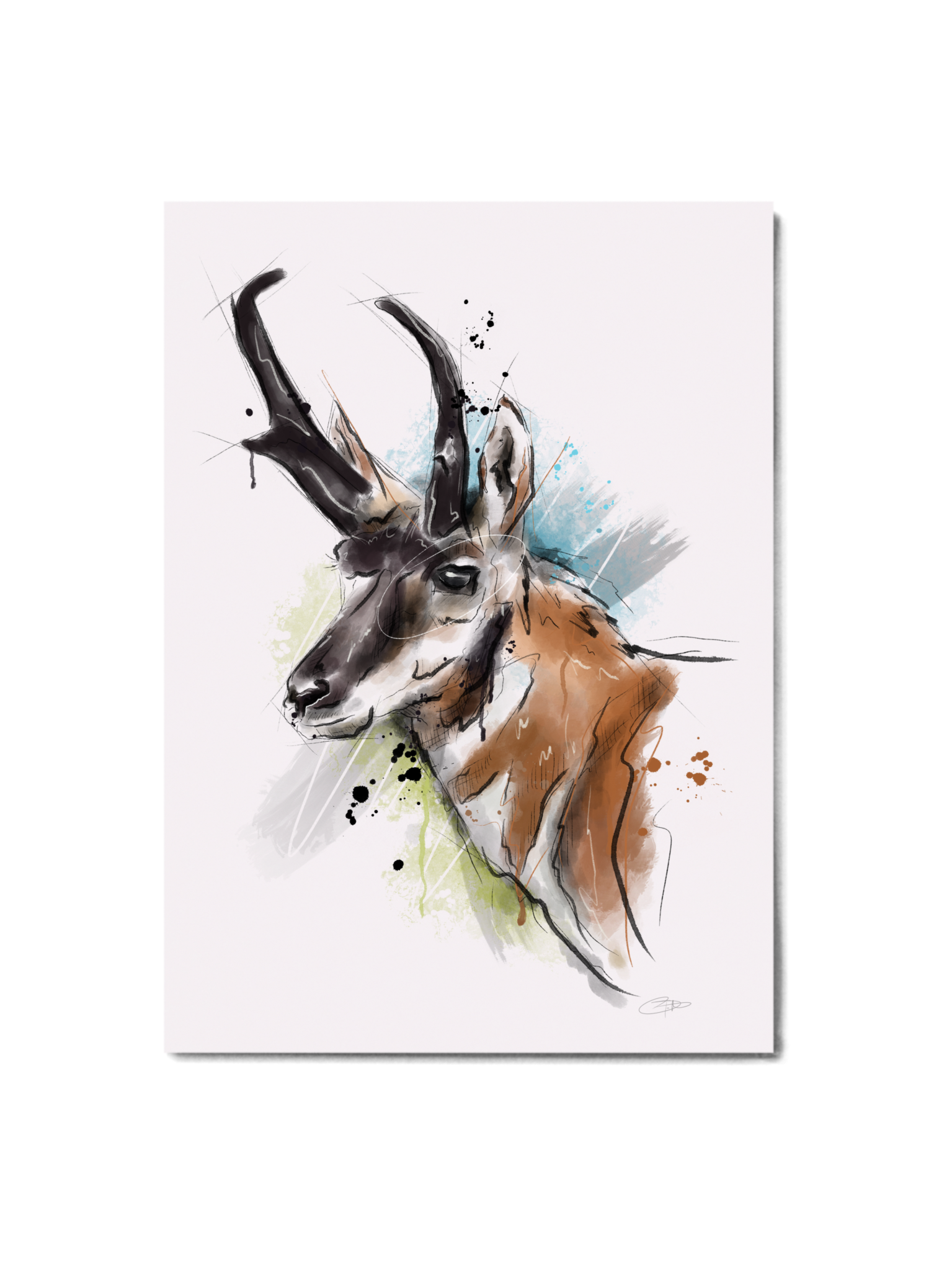 Big Game Series - Pronghorn Print