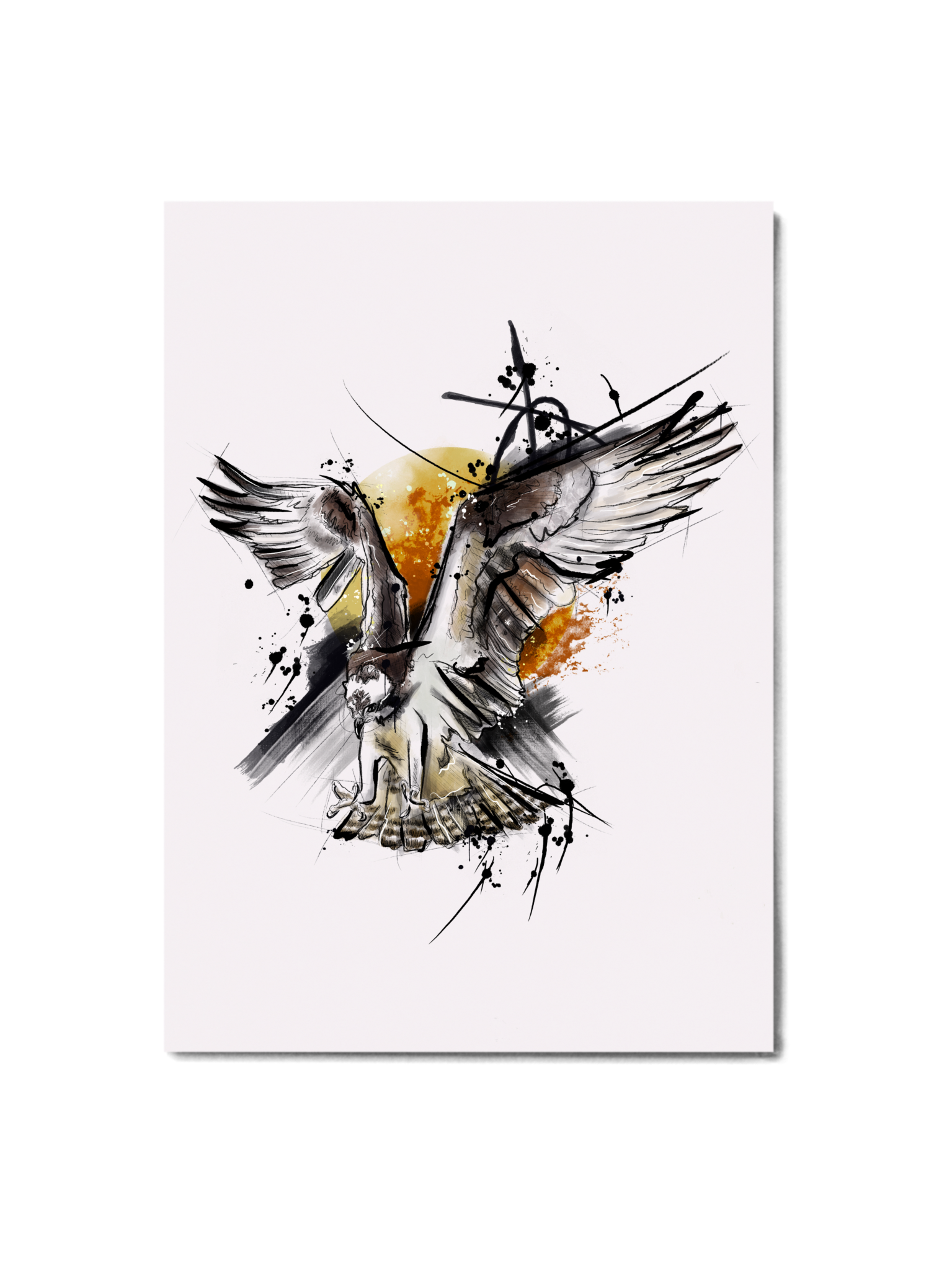 Raptor Series - Osprey Print