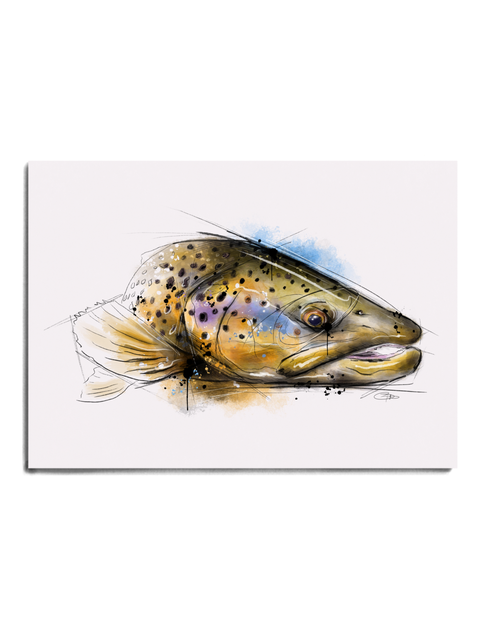 Big Hole Series - Brown Trout II Print