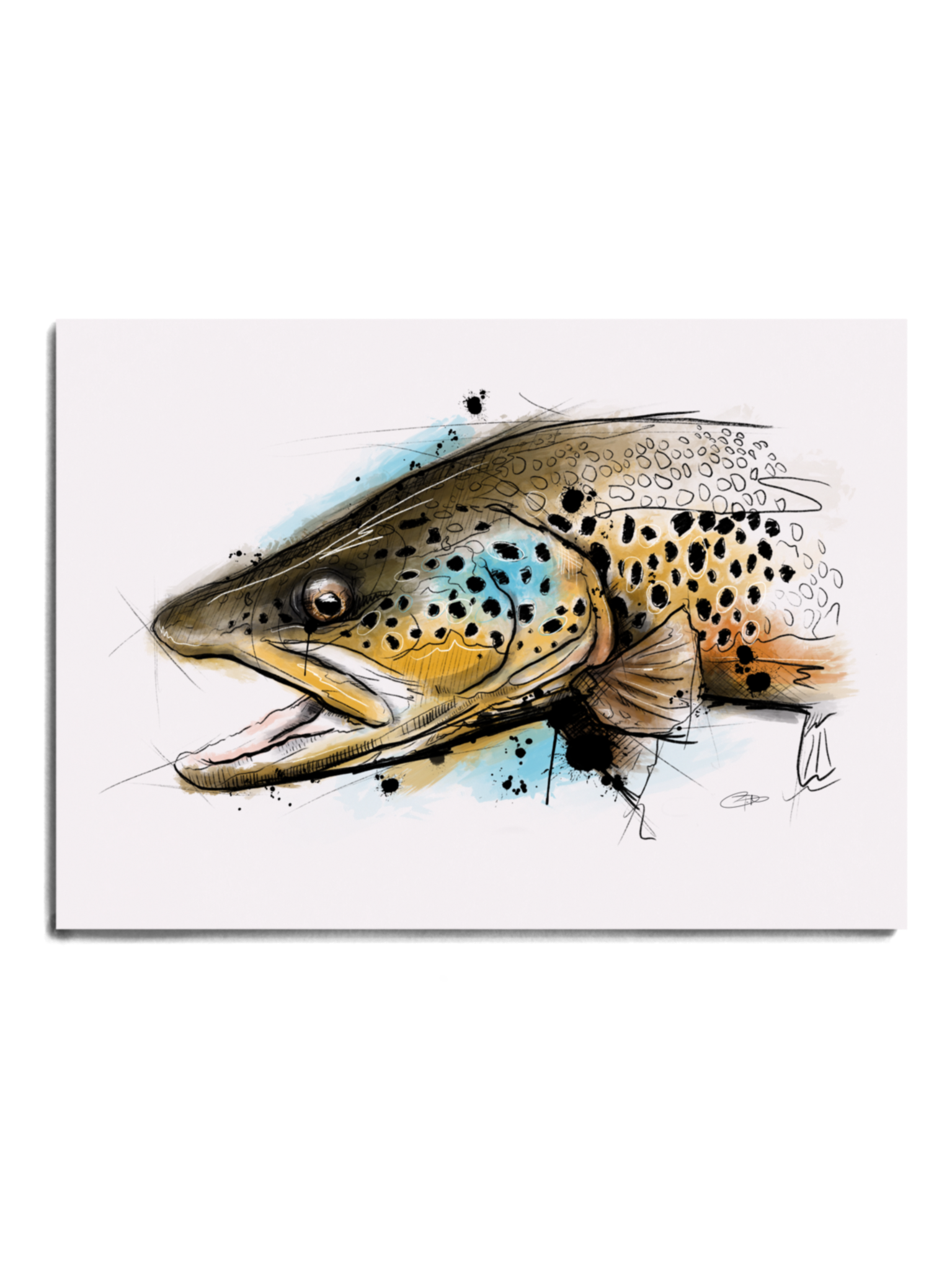 Big Hole Series - Brown Trout Print