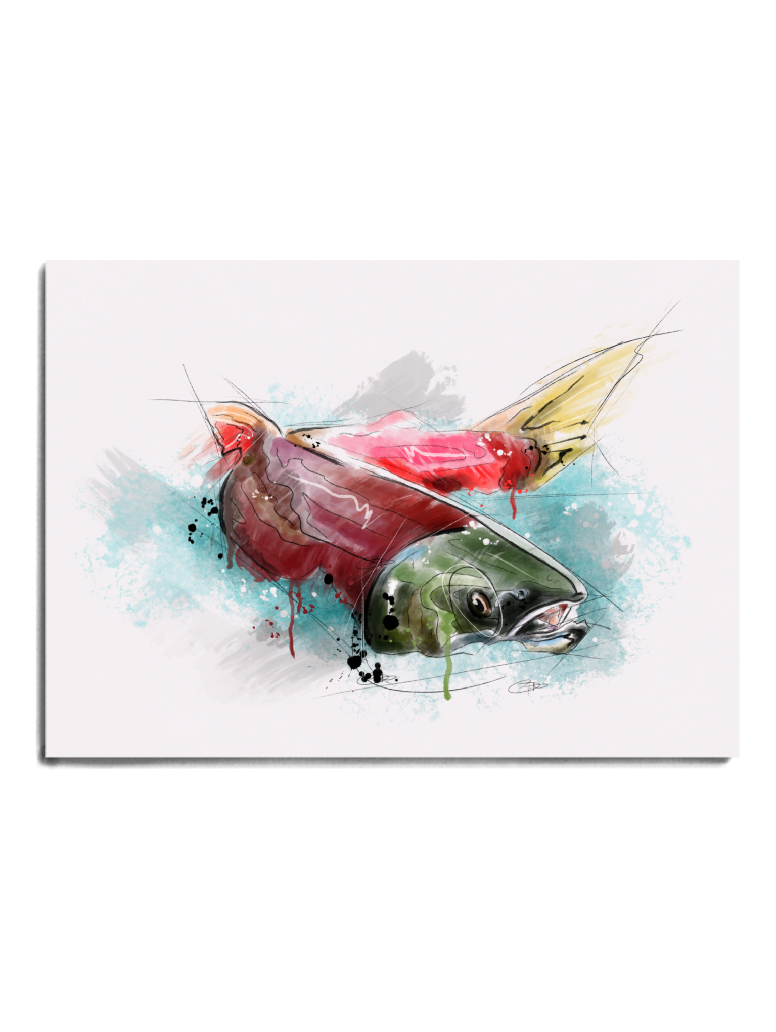 Salmon Series - Sockeye Print