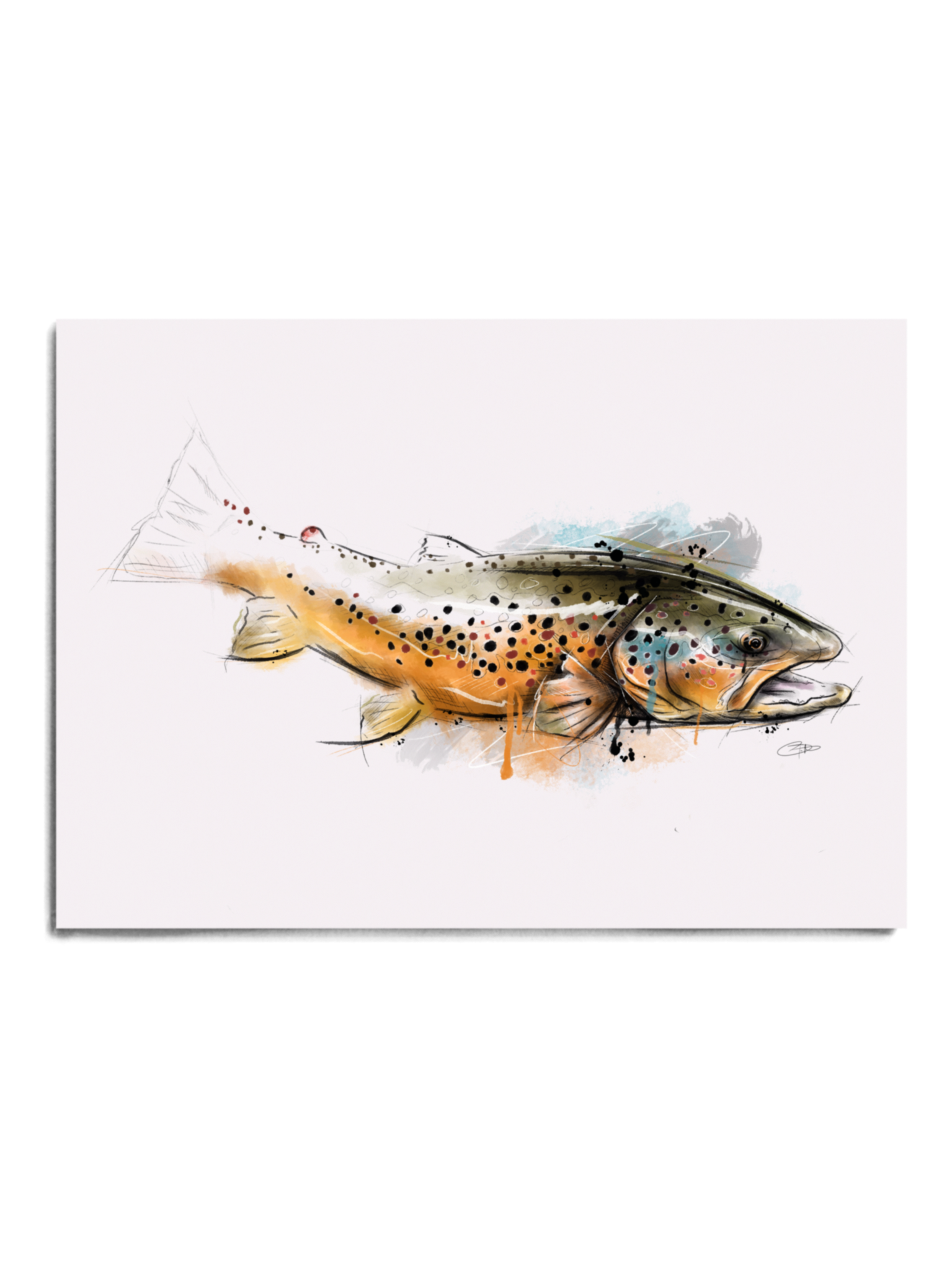 Colorado Fly Supply Brown Commission