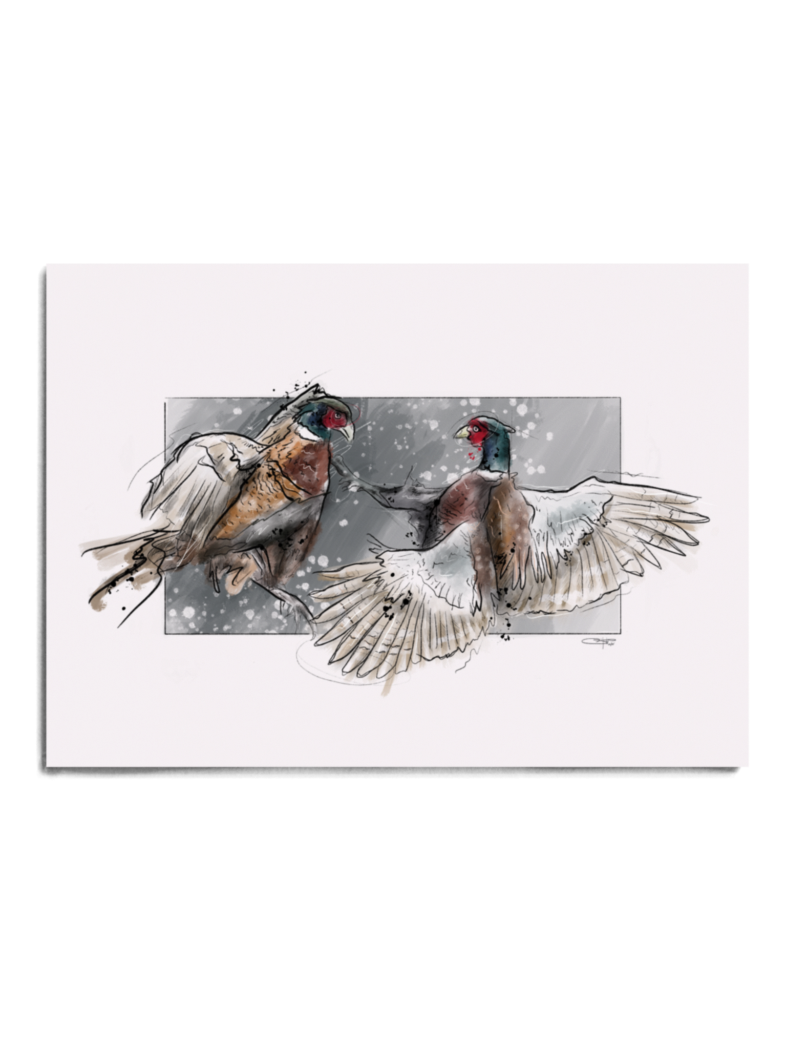 Upland Series - Pheasant Prints