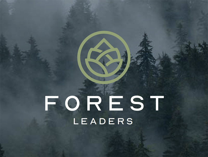 Screenshot 2026-04-01 at 1.31.44 PM.png