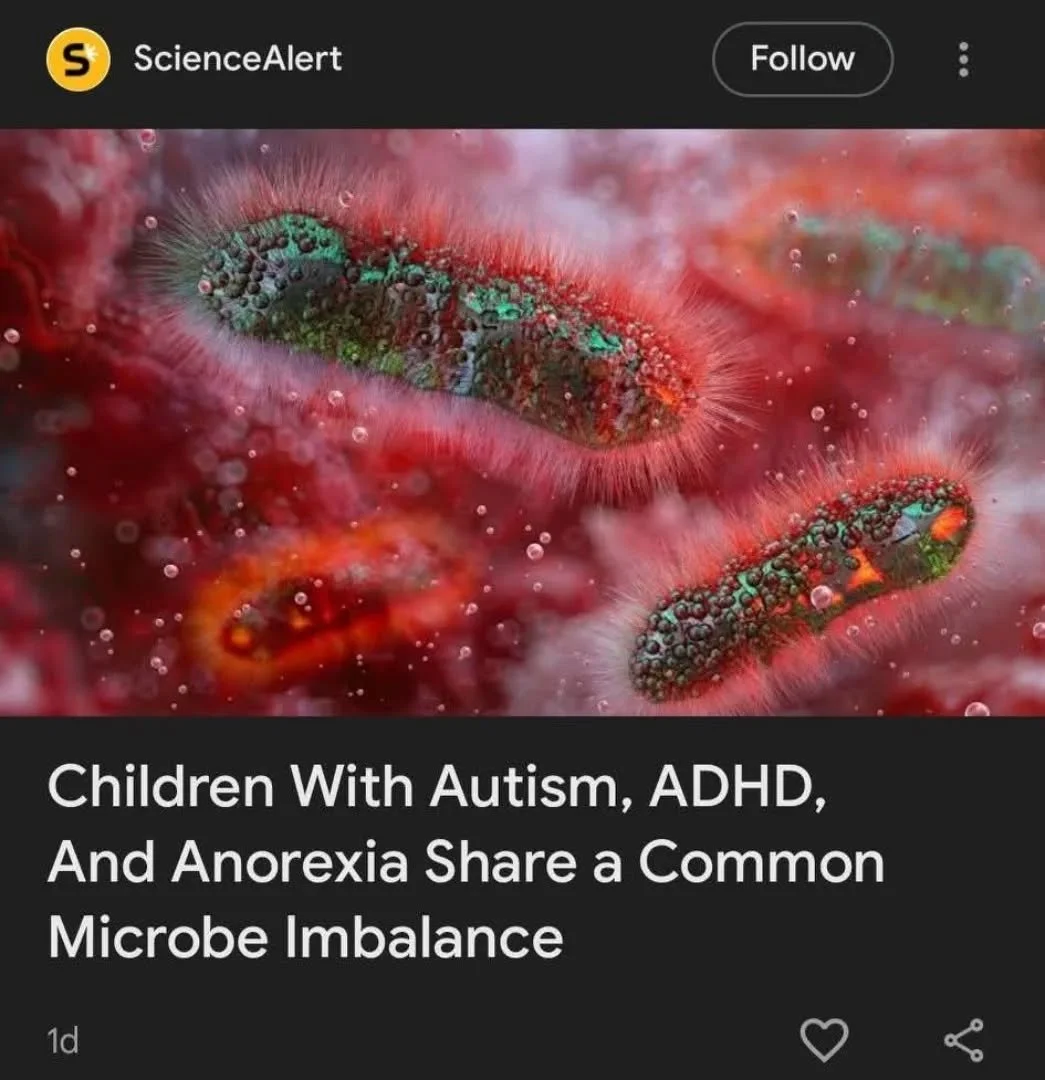 🌿 ADHD &amp; the Gut-Brain Connection: New Research 🧠✨

As a practitioner who works closely with ADHD children and their families, I'm always on the lookout for new research as it evolves.

The more we understand about the link between the gut micr