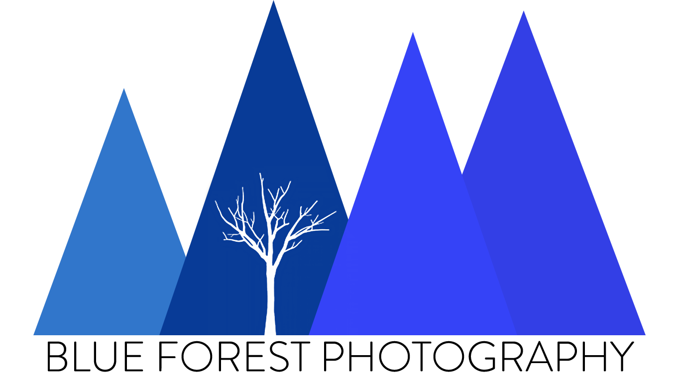 Blue Forest Photography