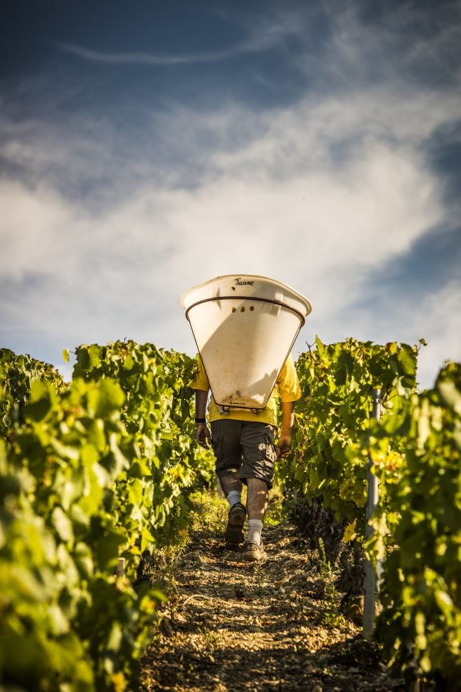 Winemakers Dinner Chablisienne - Sjømagasinet 