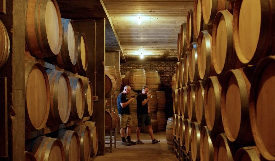 Creation Wines - 7. november på Sabaki