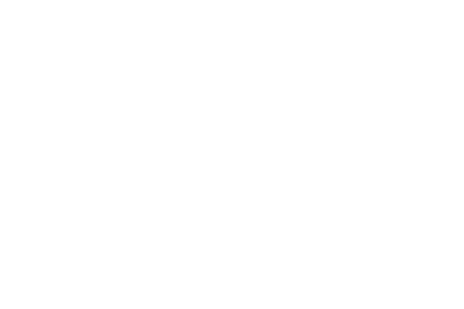 The Quietus
