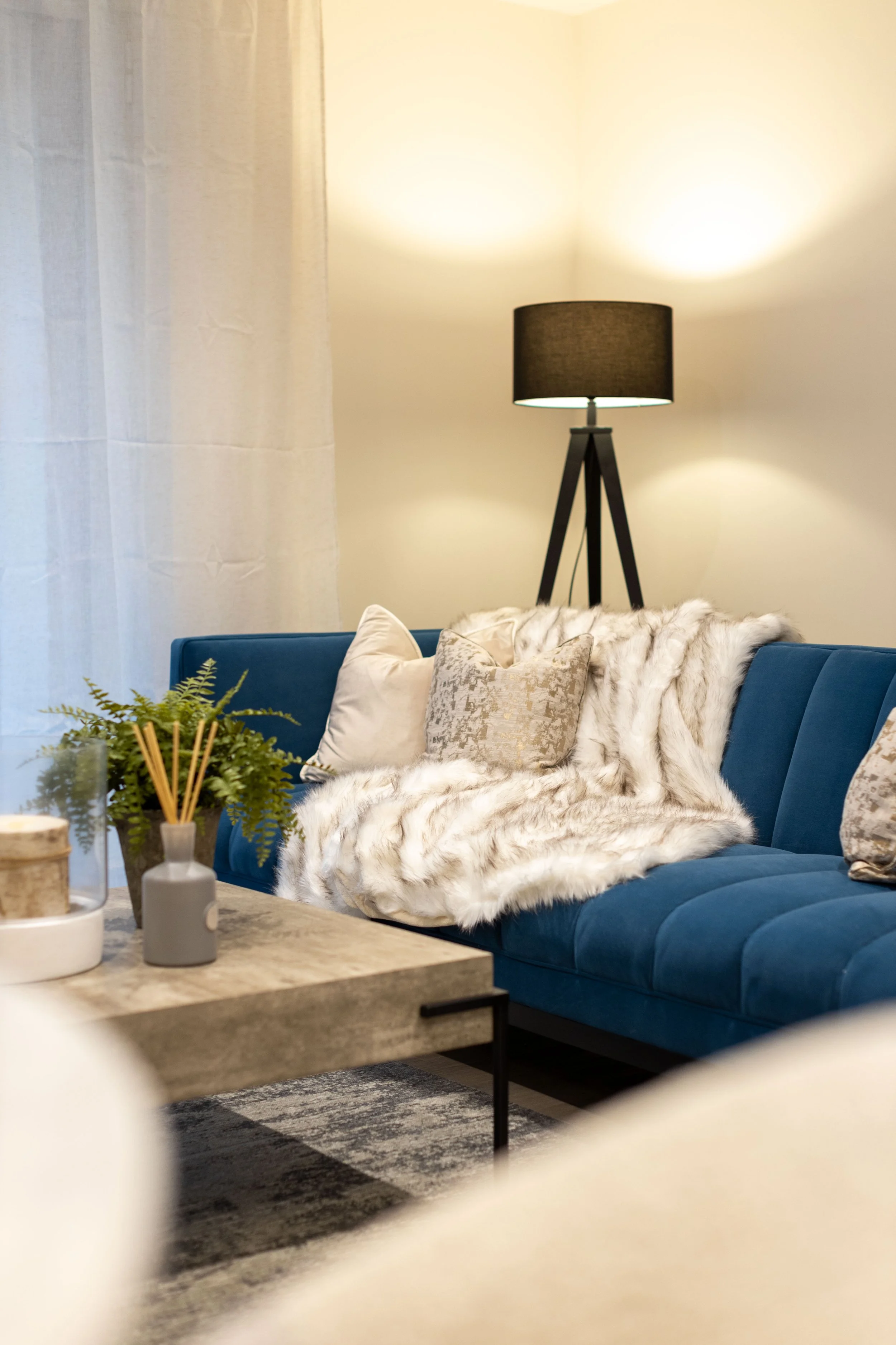 Vespasian, Poole 29.11.22-4292.jpg