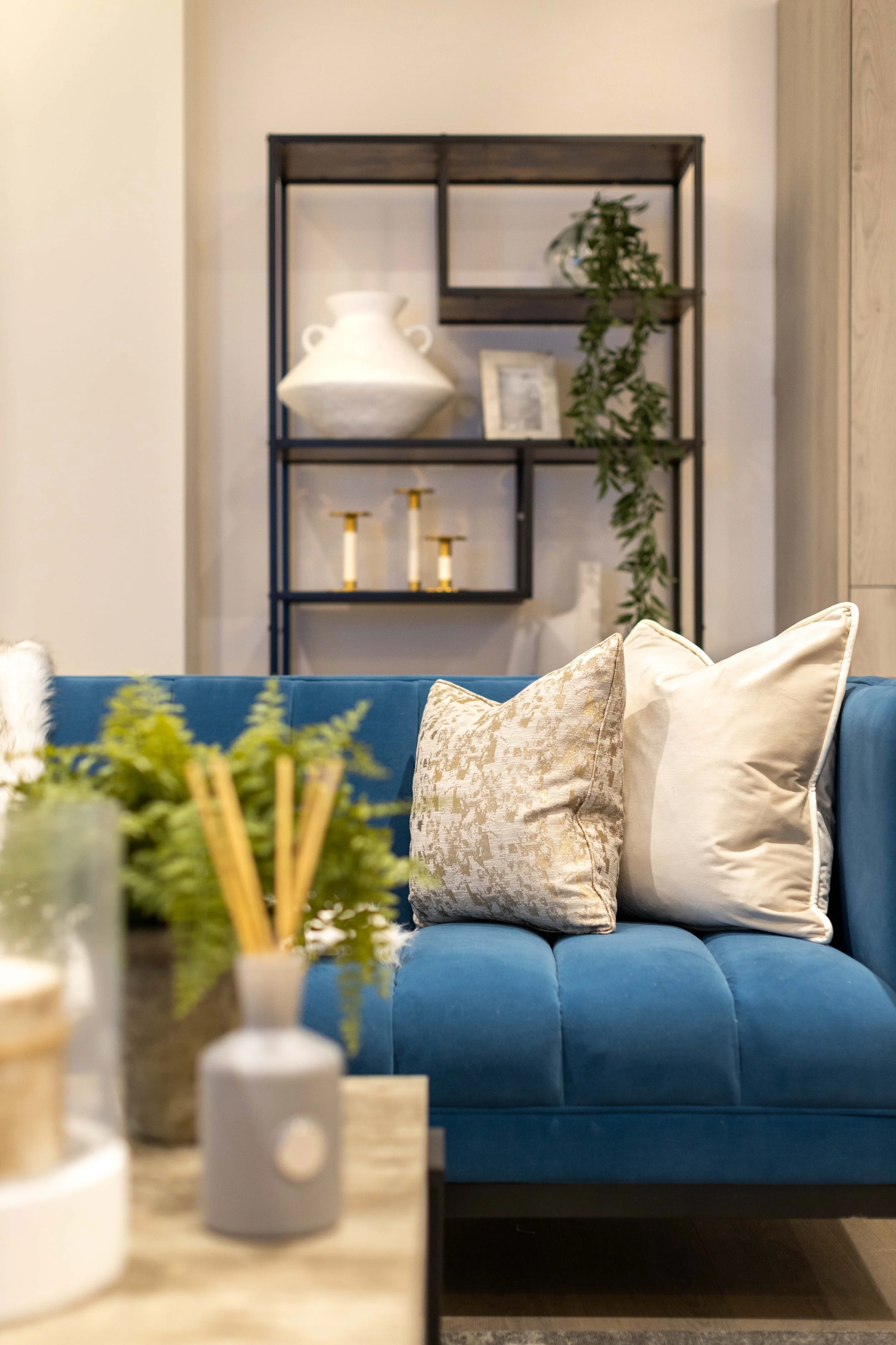 Vespasian, Poole 29.11.22-4343.jpg