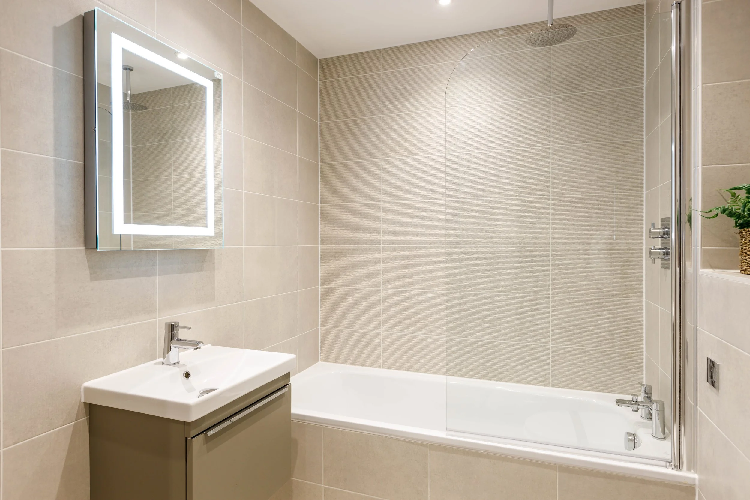 Vespasian, Poole 29.11.22-4244.jpg