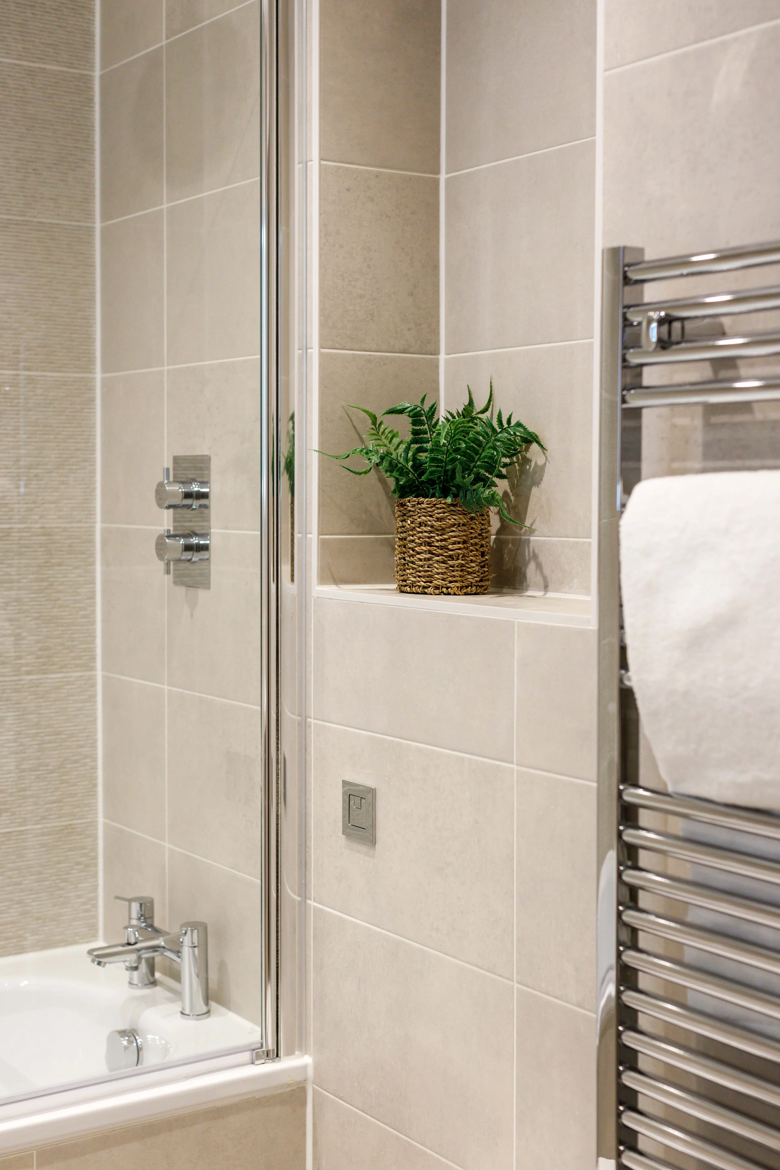 Vespasian, Poole 29.11.22-4283.jpg