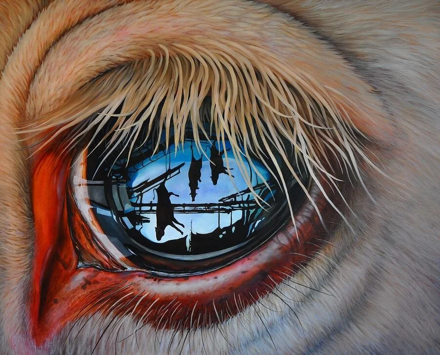 Next by Jackson Thilenius cow awaiting slaughter at the slaughterhouse.jpg