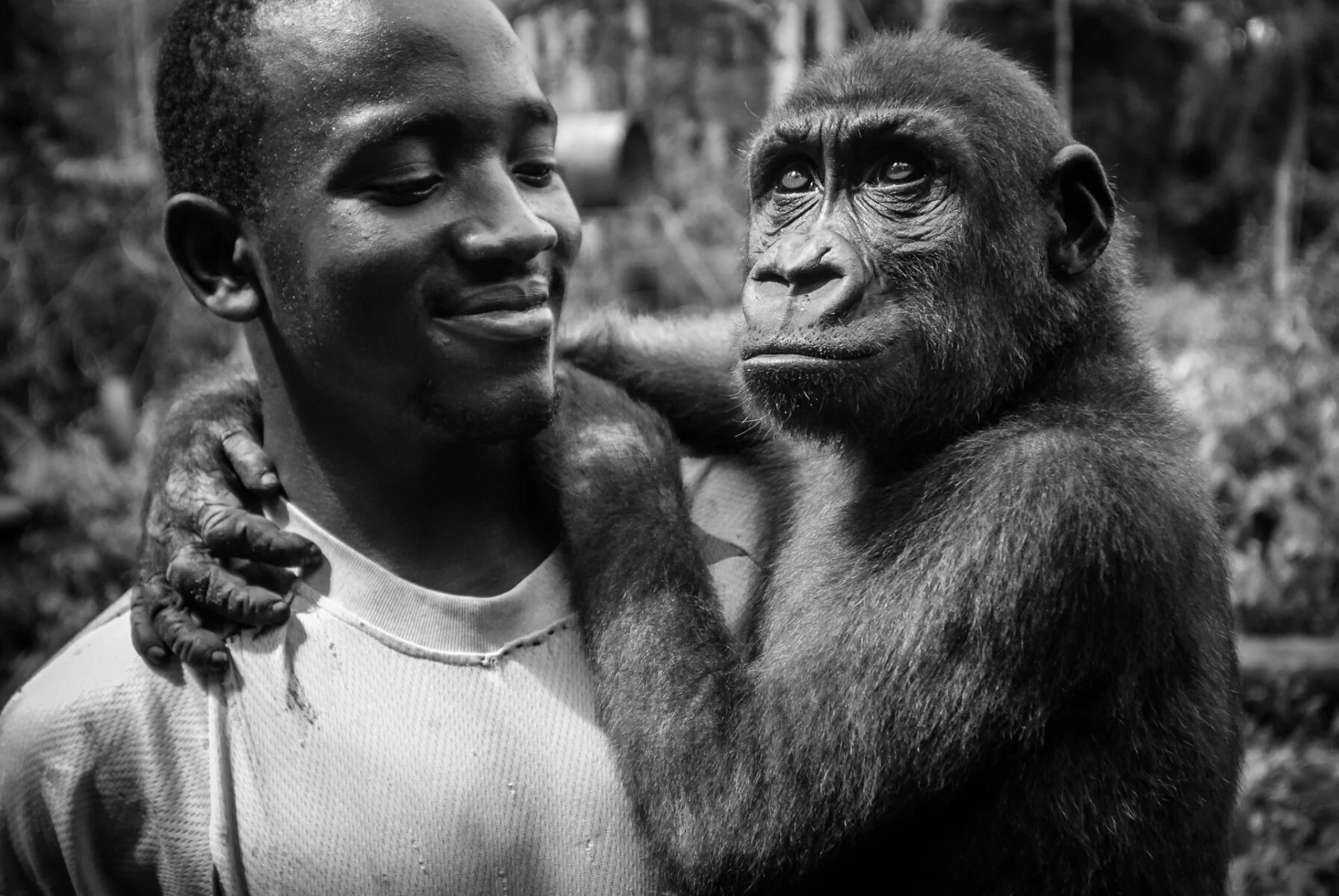 Ape Action Africa Cameroon JMcArthur man holding rescued gorilla.jpg