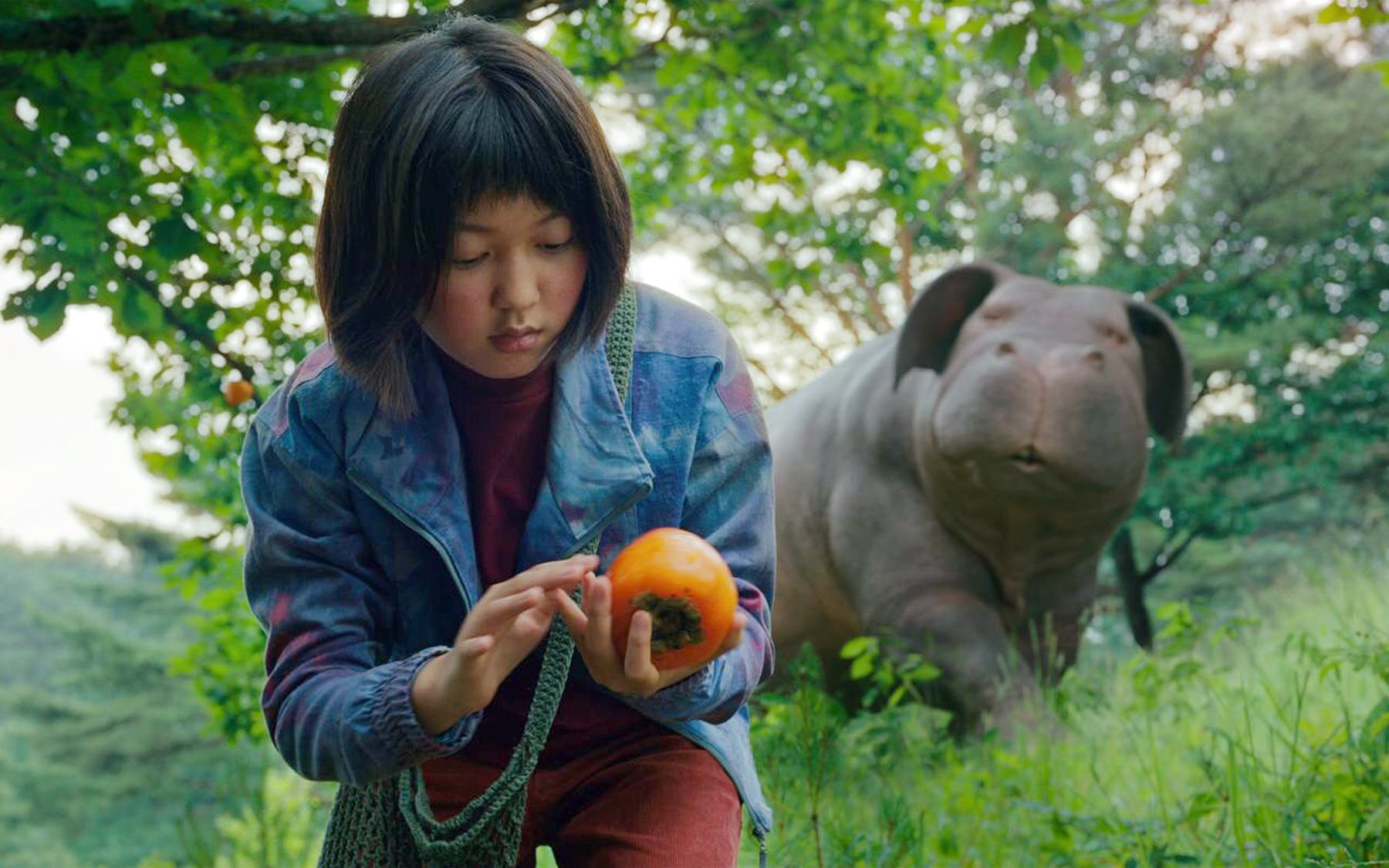 Okja: Humane-washing and Cultural Crisis — Project Animal Freedom