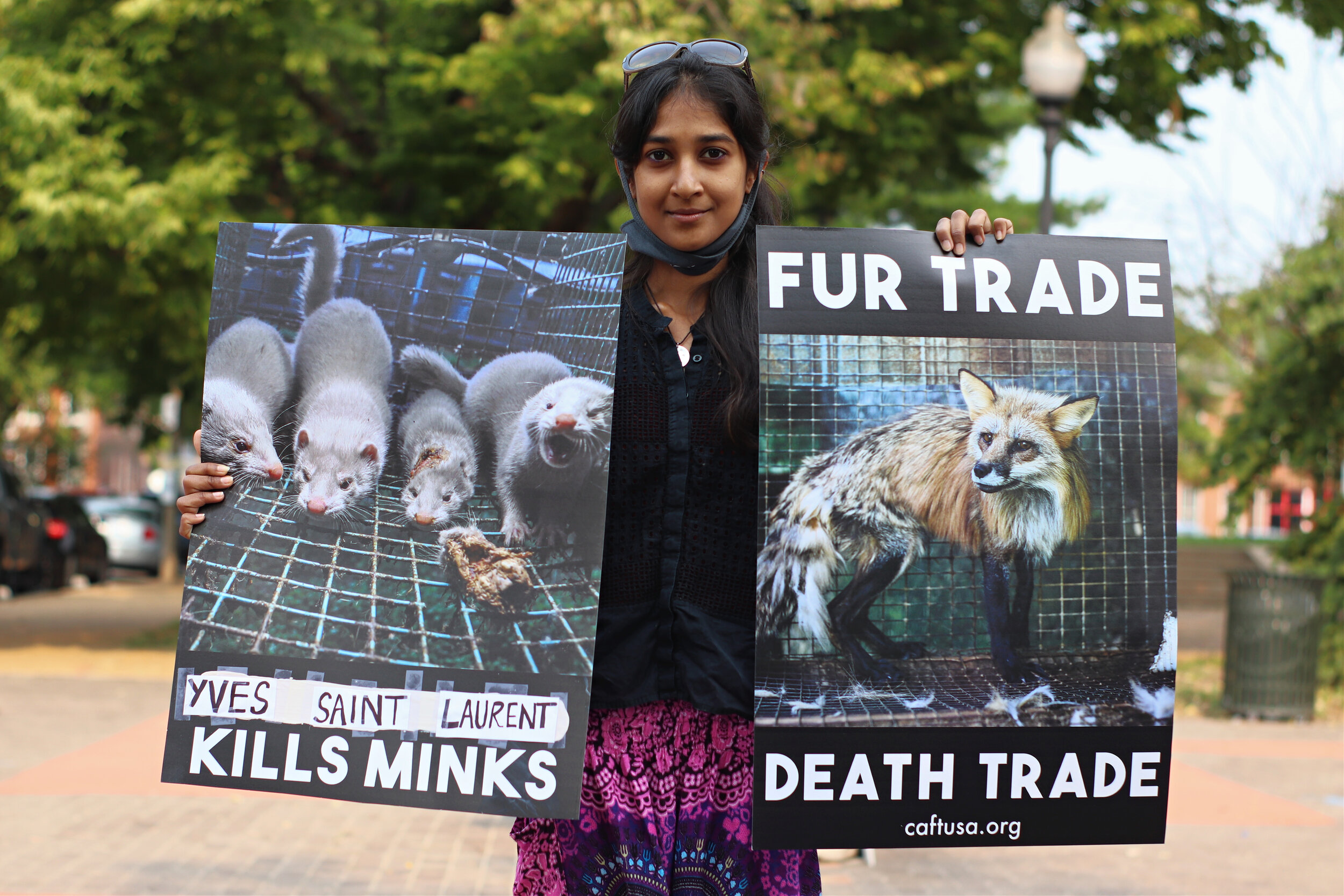 We reached a few hundred people during our fur vigil at Soulard Farmer's  Market! — Project Animal Freedom