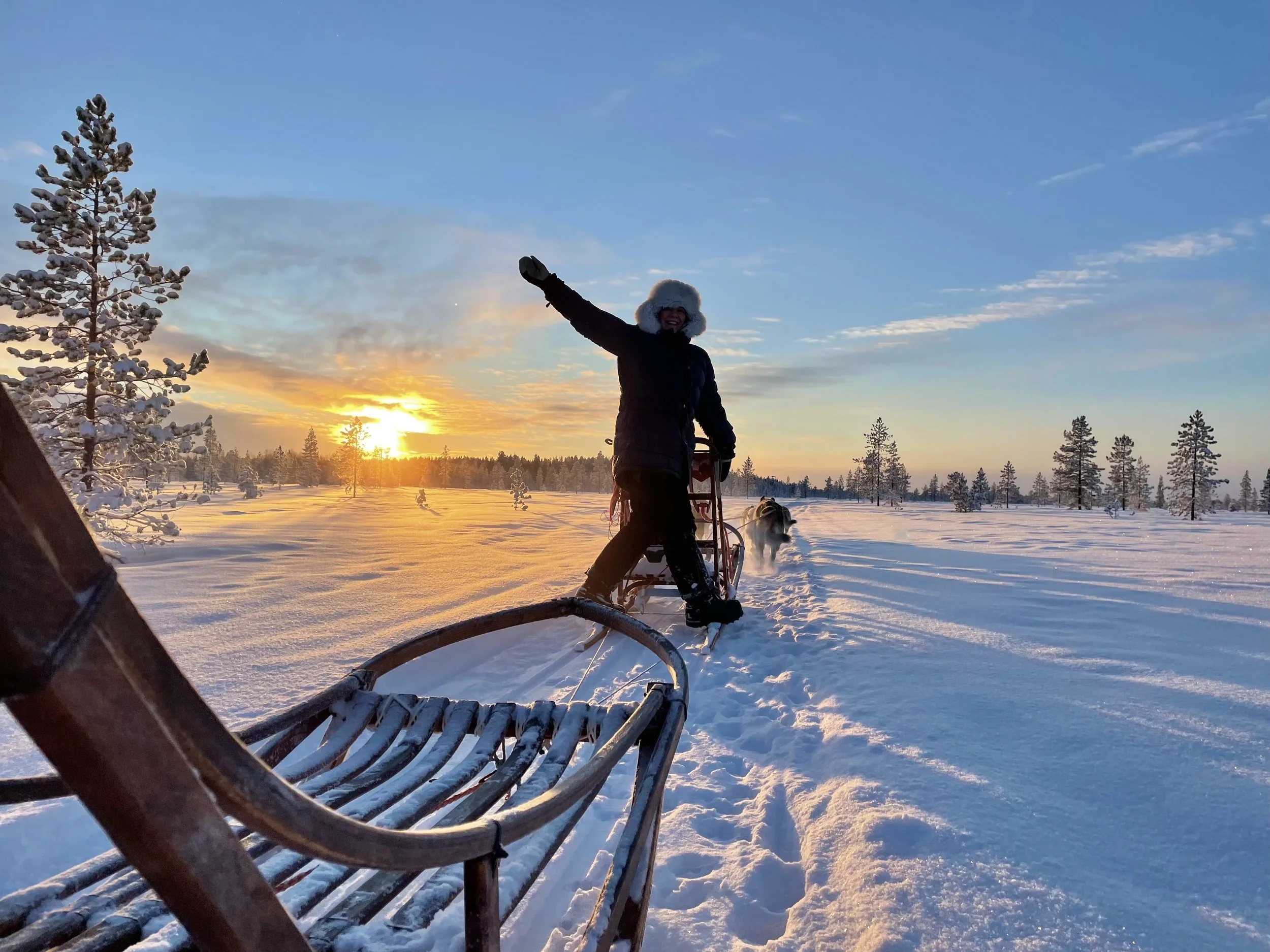 En dag som hundekjører på Pasvik Folkehøgskole