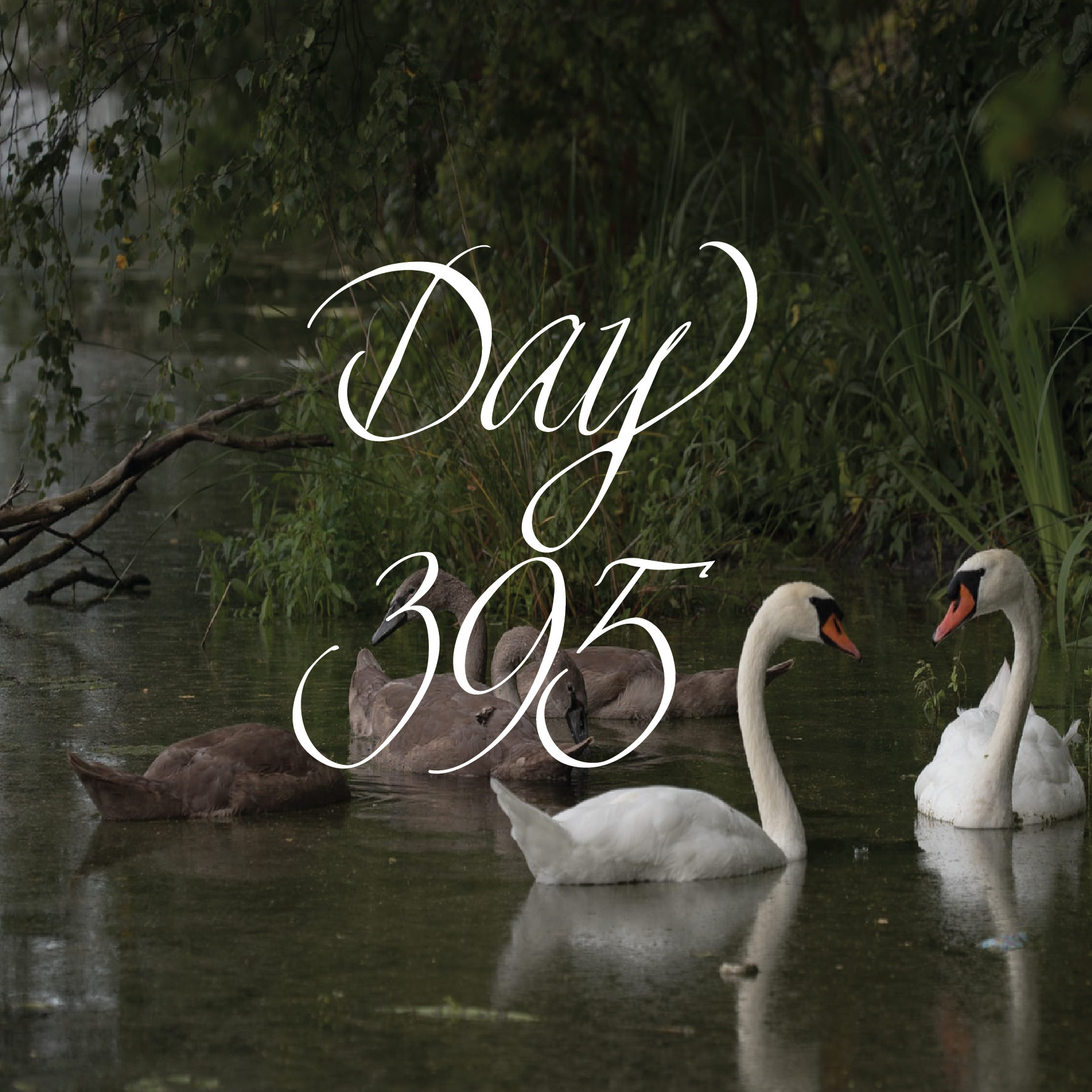 Cast Out Stigma - Help Each Other