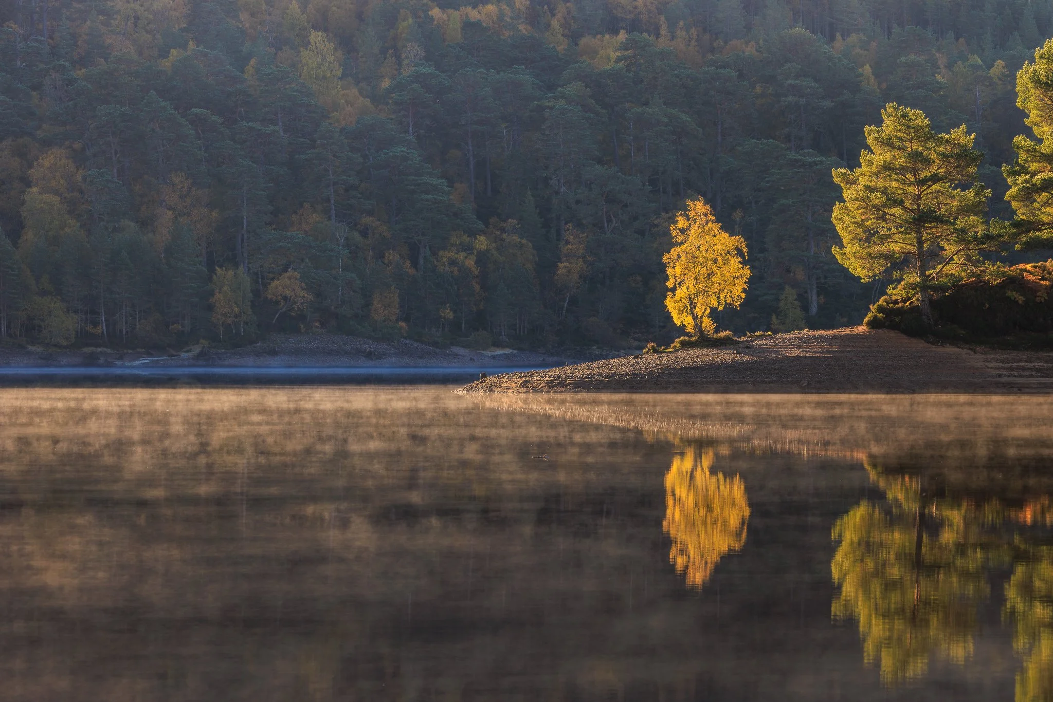 ScotlandAutumn2026-5.jpg