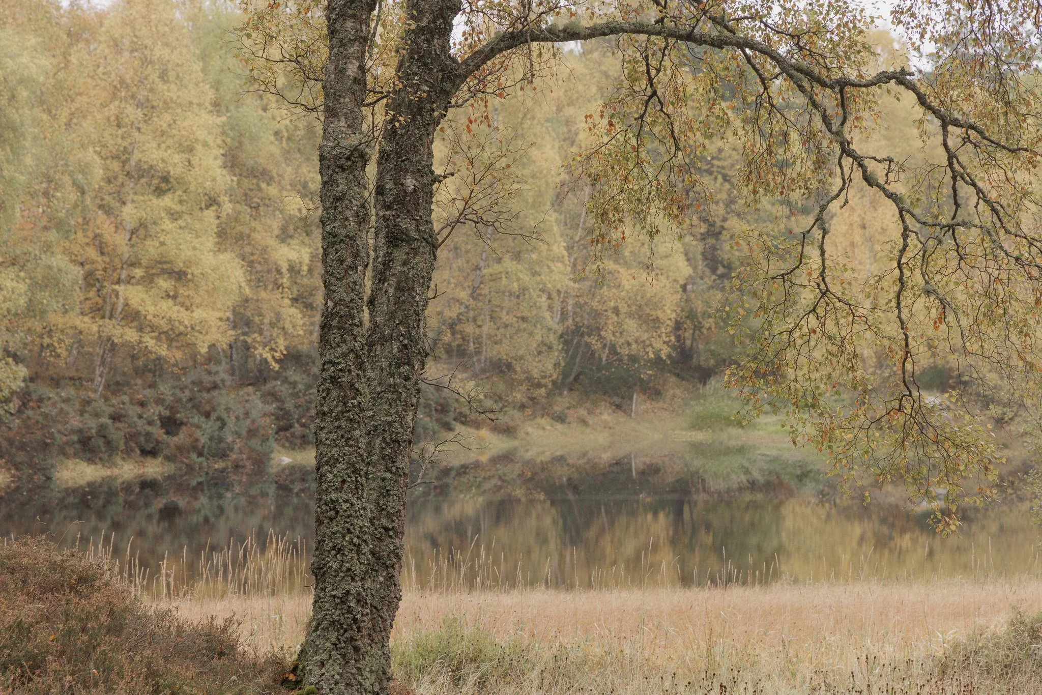 ScotlandAutumn2026-42.jpg