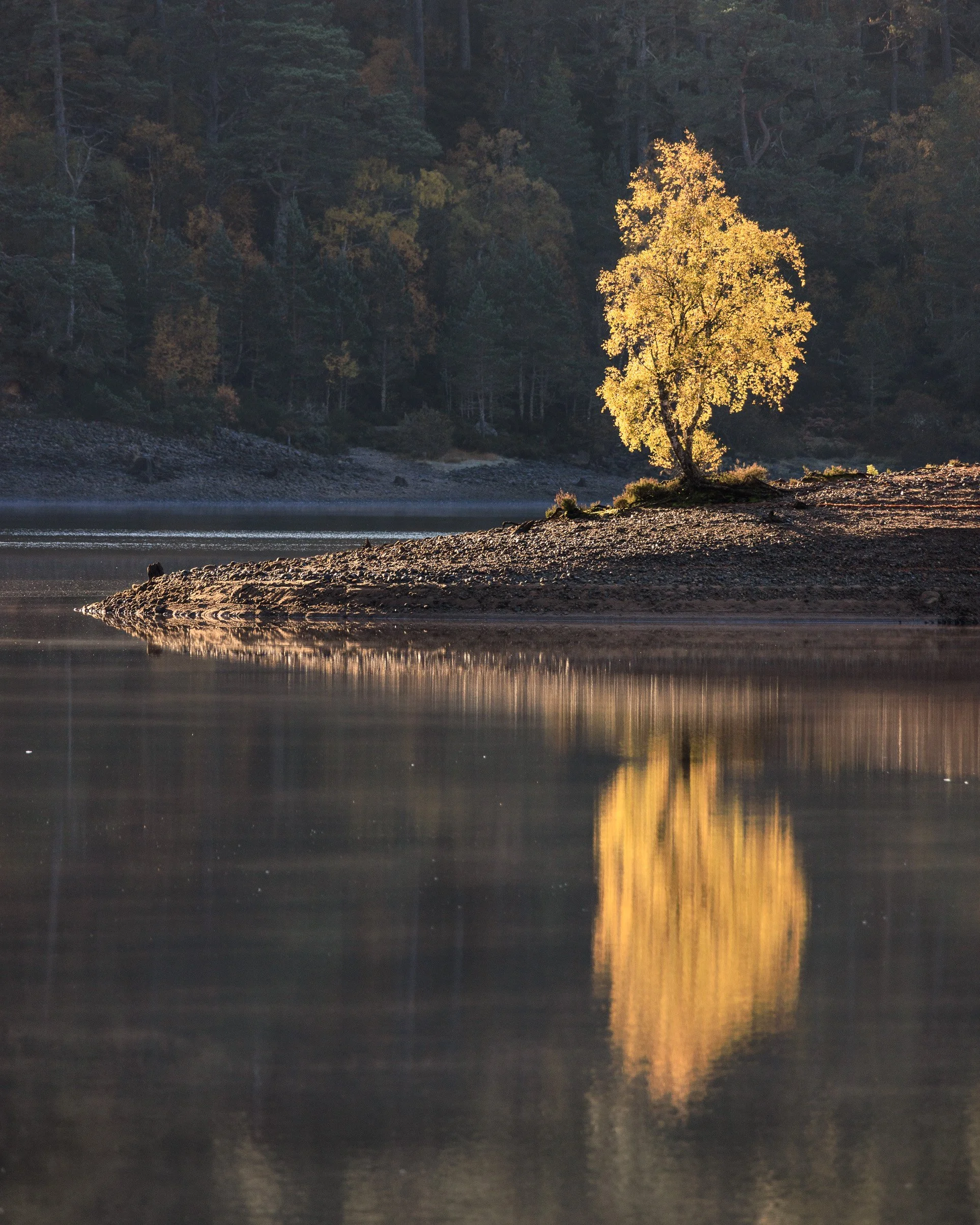 ScotlandAutumn2026-6.jpg