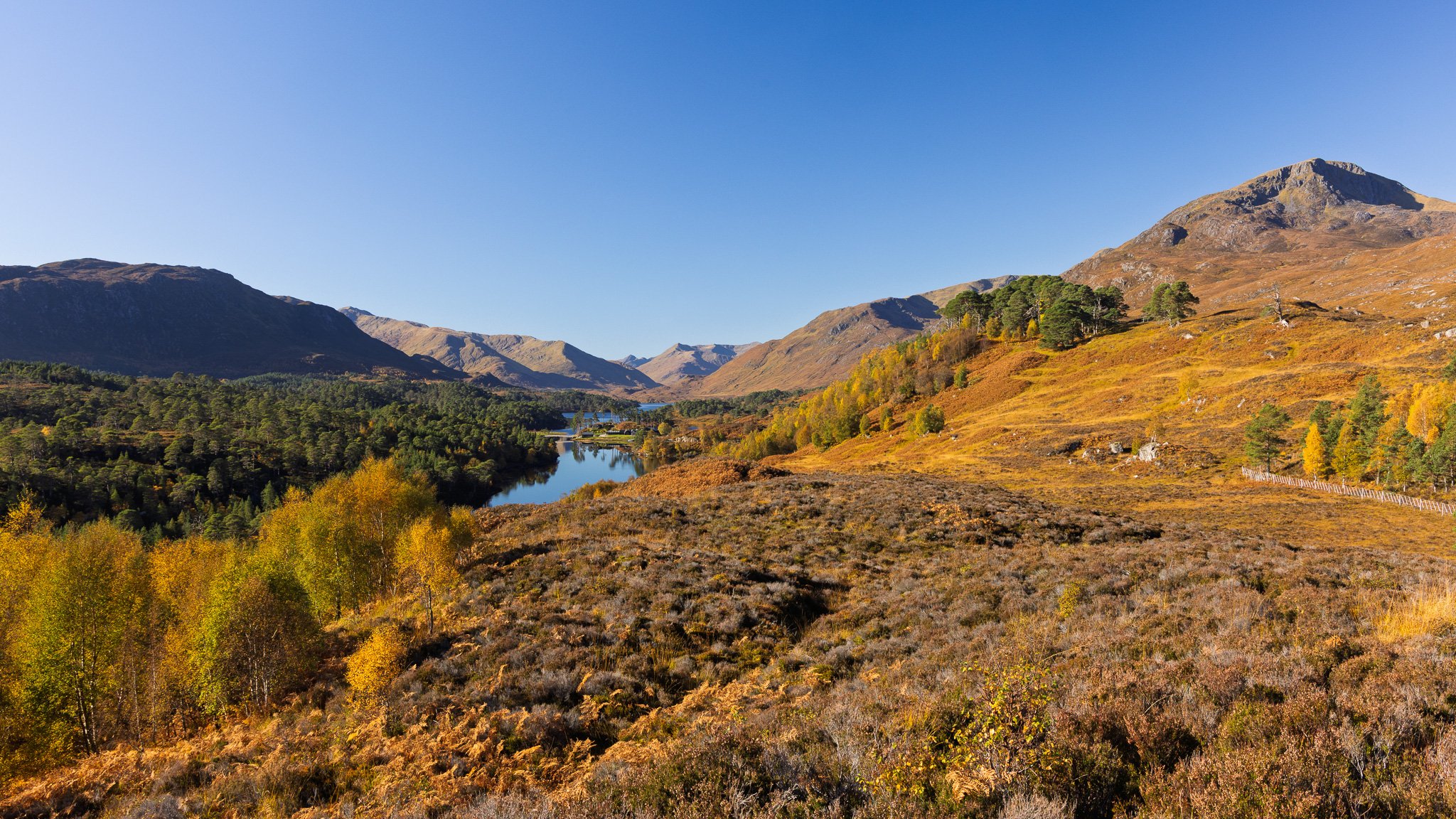ScotlandAutumn2026-7.jpg