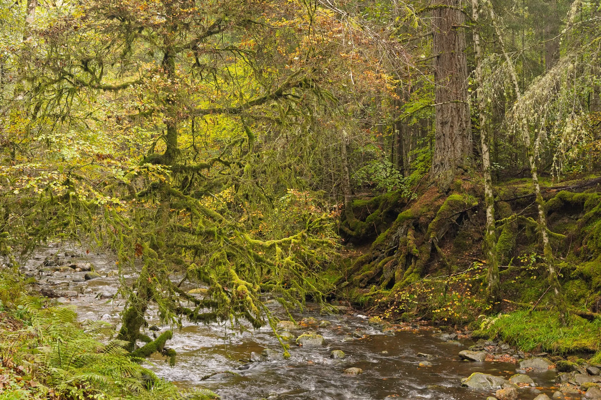 ScotlandAutumn2026-30.jpg