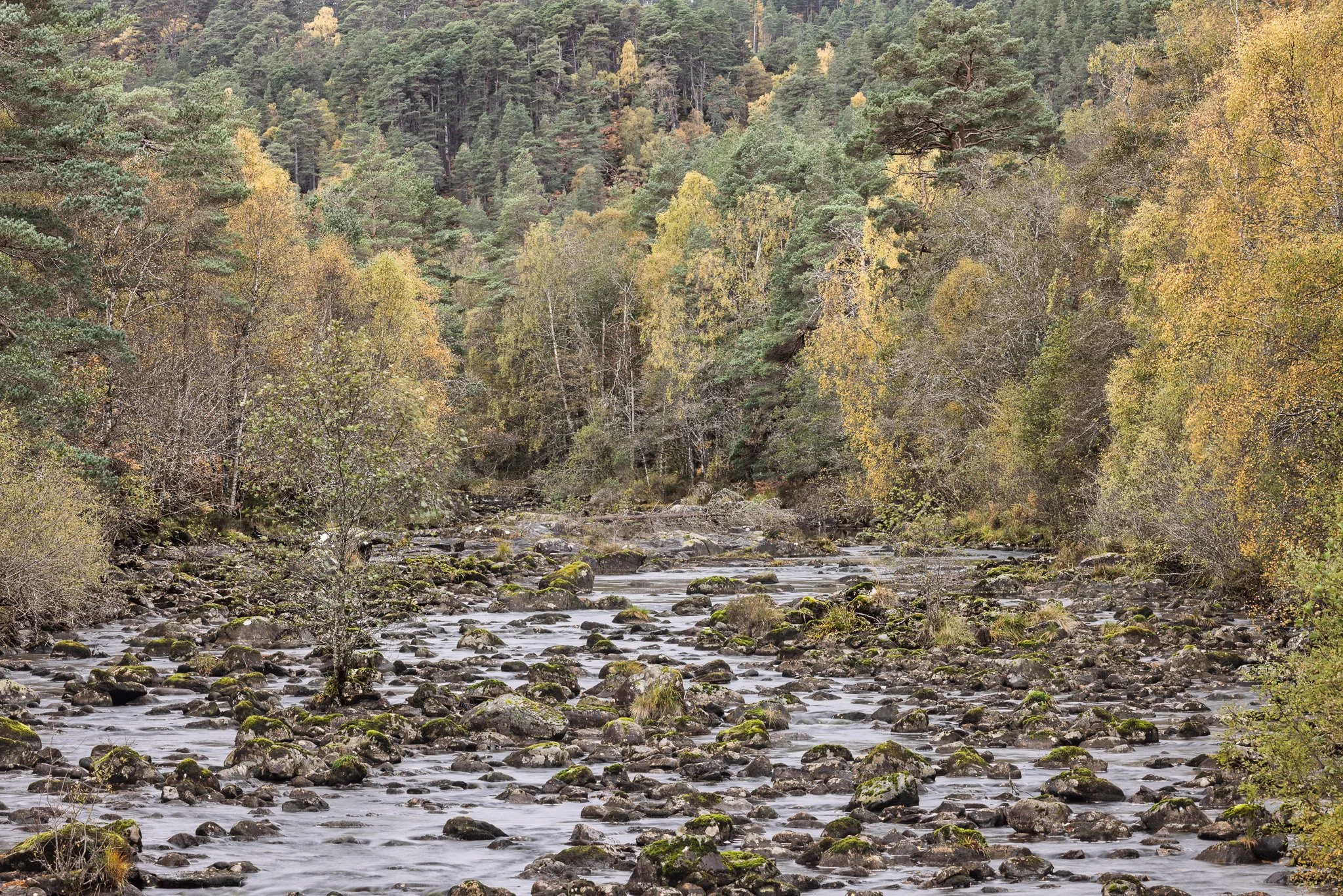 ScotlandAutumn2026-27.jpg