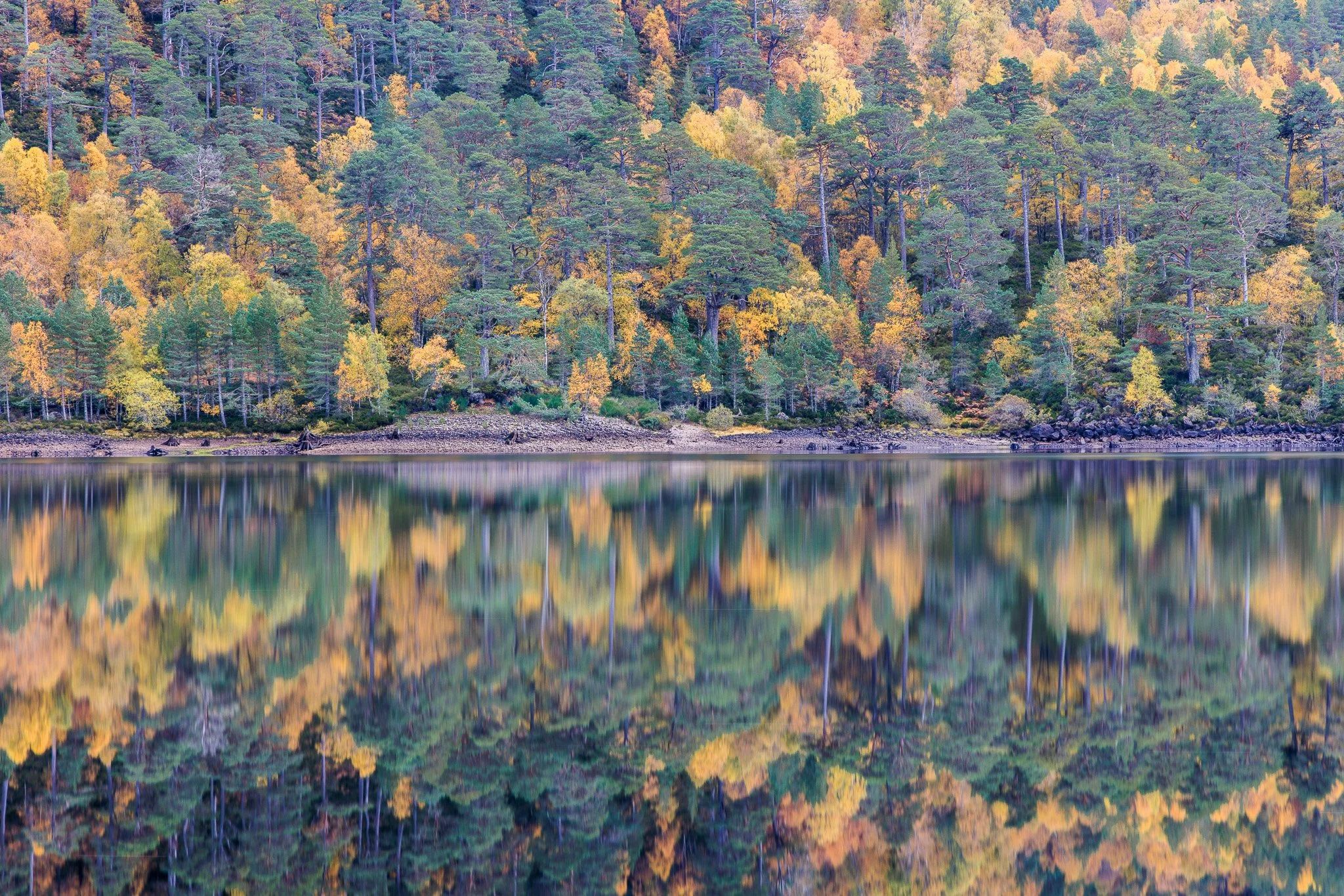 ScotlandAutumn2026-11.jpg