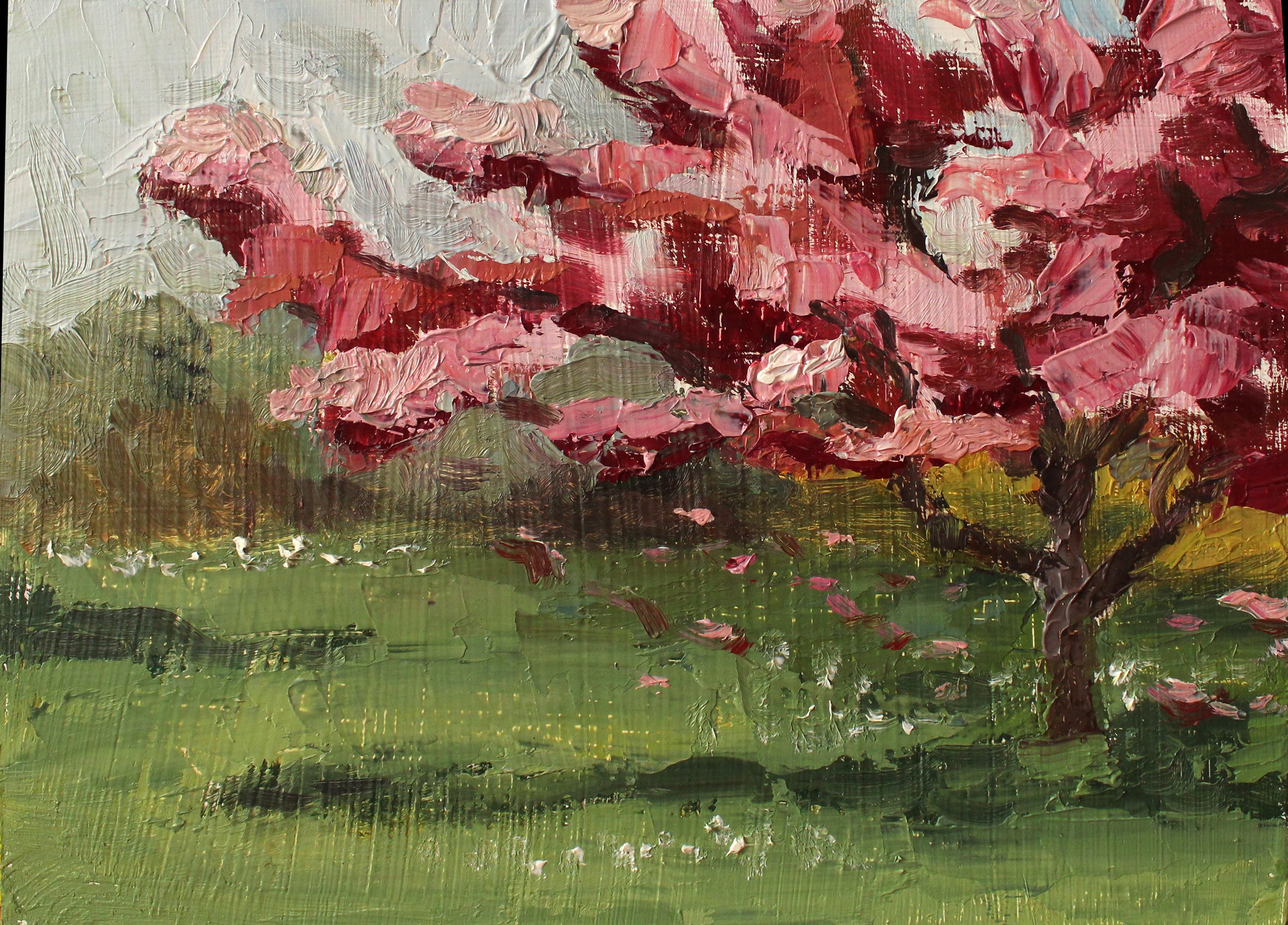 23.5.1 Spring Trees.jpg