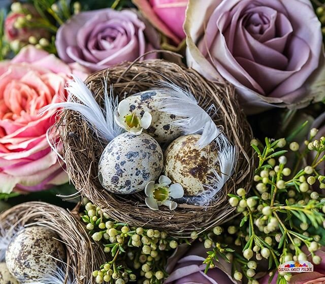 🇬🇧 @gospodakwiatypolskie wishes you a real feast for Easter! Gather with your close ones as befits tradition and remain in good health constantly!

Our door is still closed, but we know that everything has its end, so soon we will forget about sepa