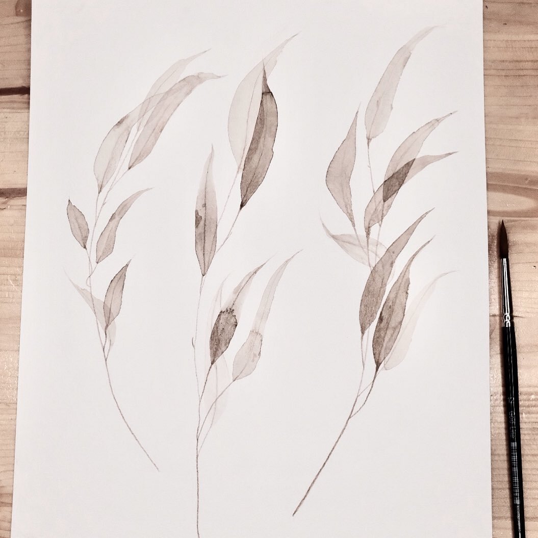 Small and quick studie of Willow leaves #foraging #watercolorpainting #botanicaltattoos #botanicalillustration #driedflowers #botanicaltattoo #illustrationnow