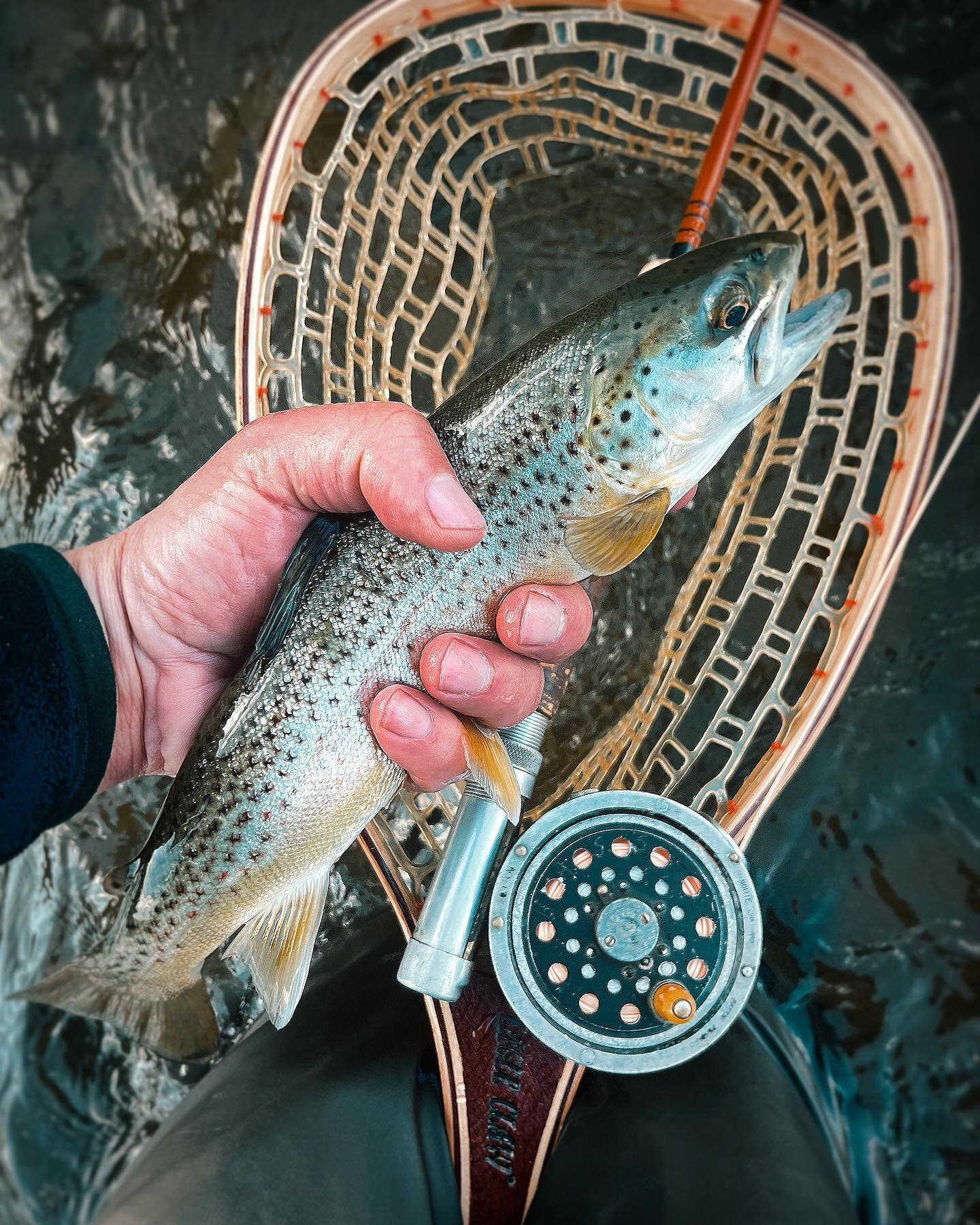 The Blue Collar Special. Lately, I find myself wading in a world within a world. I am adjacent to giants of our craft. The very best of fly tyers and whittlers of cane. The flesh and honor of individuals who have given their precious time to protect 