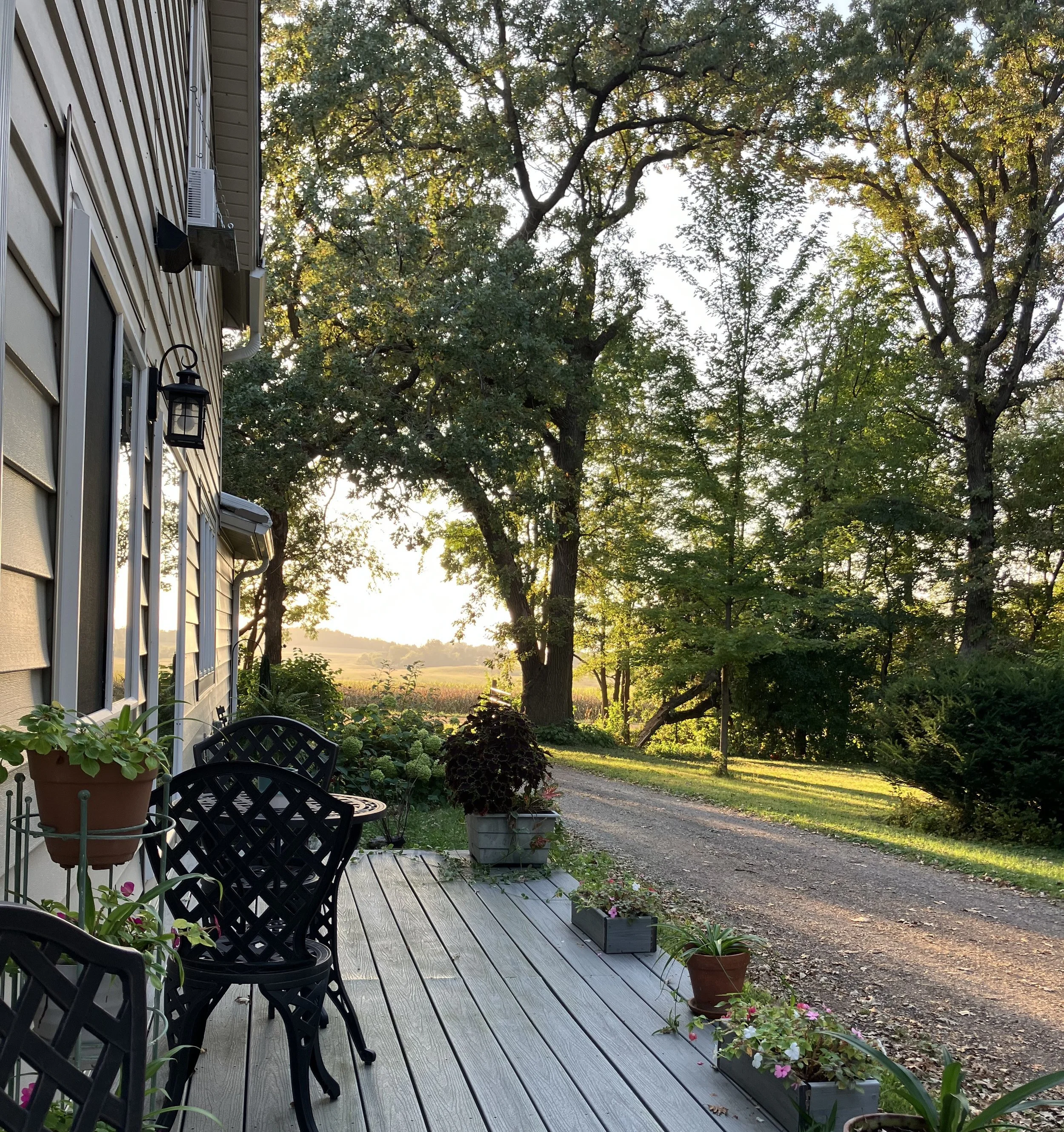 porch driveway.jpeg