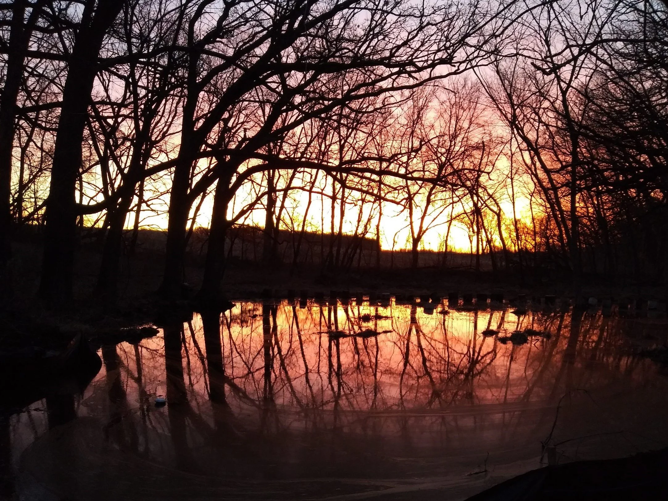 pond sunrise.jpg