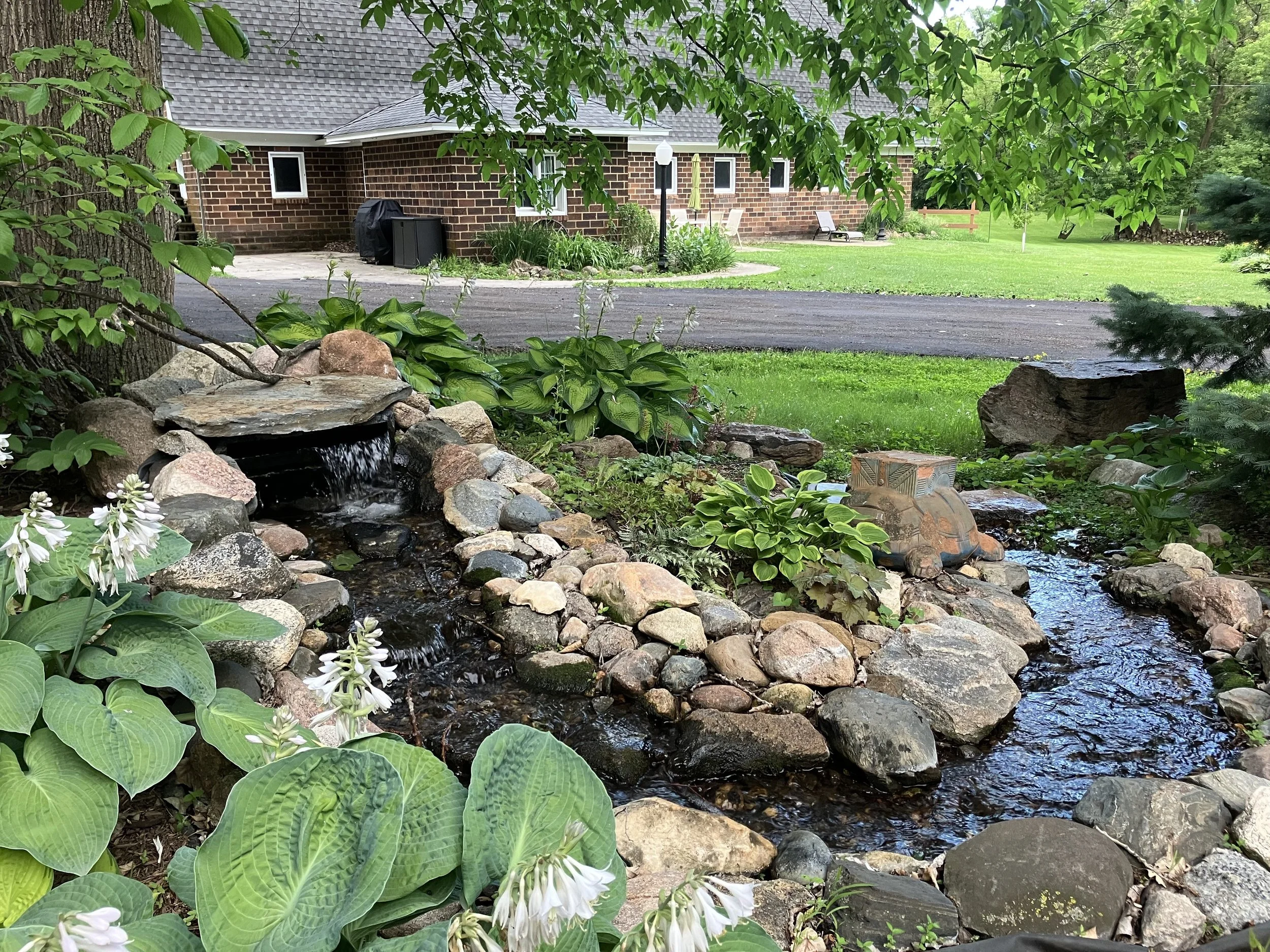 pond 2026.jpeg