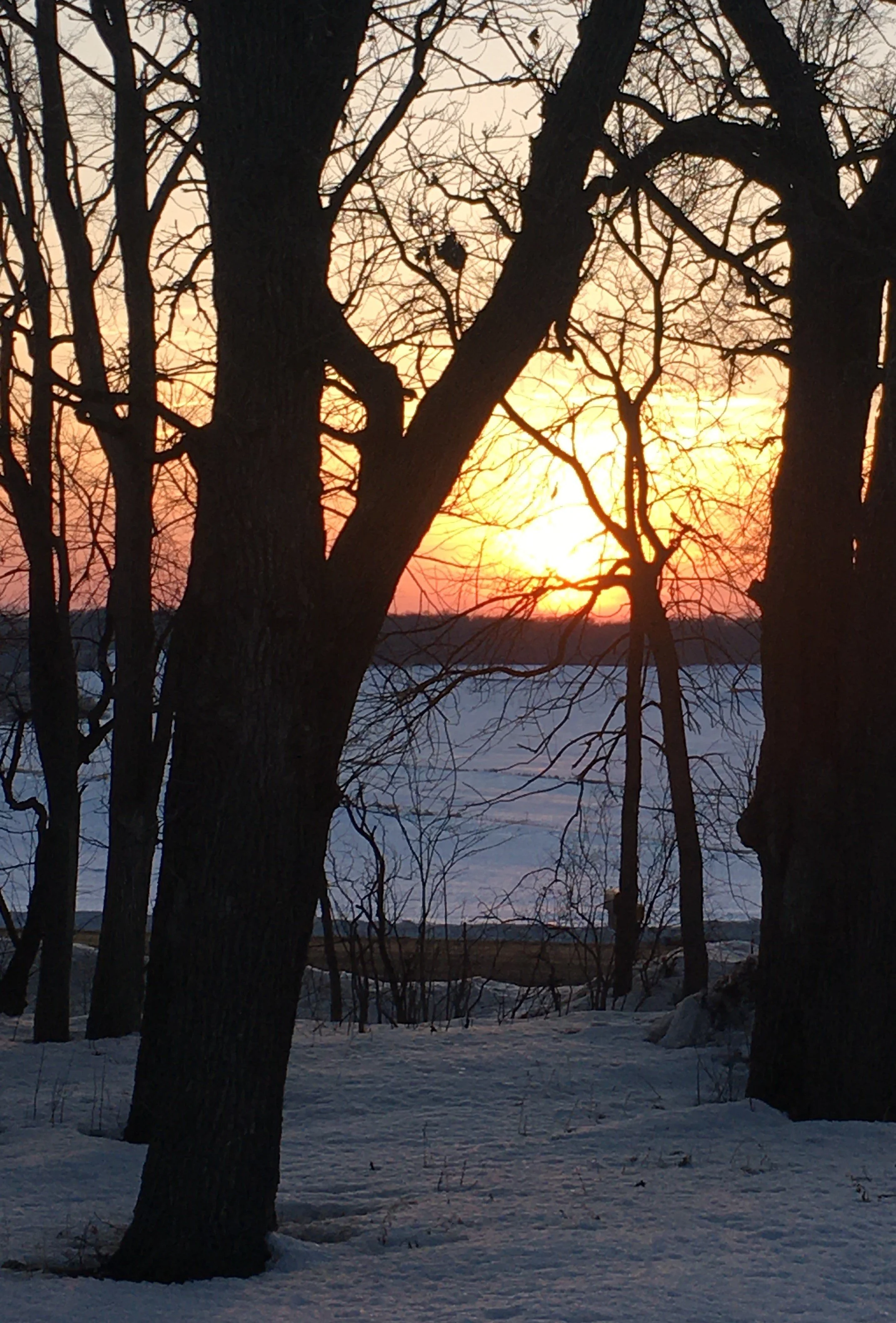 winter sunset.JPG