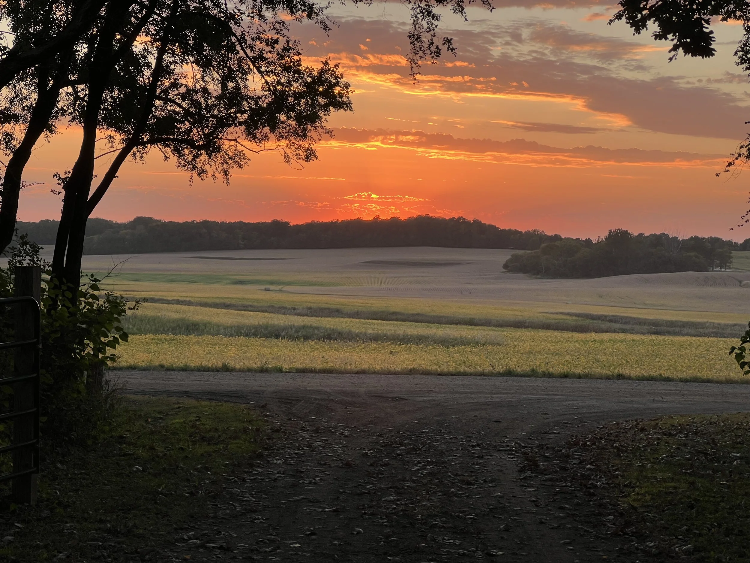 East fall sunset.jpg